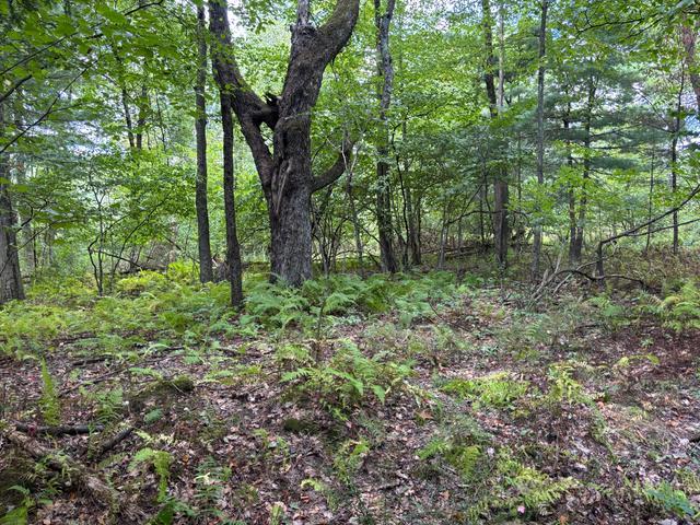 On McCauley Hill Road Tidioute, PA 16351 - Photo 6 of 8 Gallery Image 6