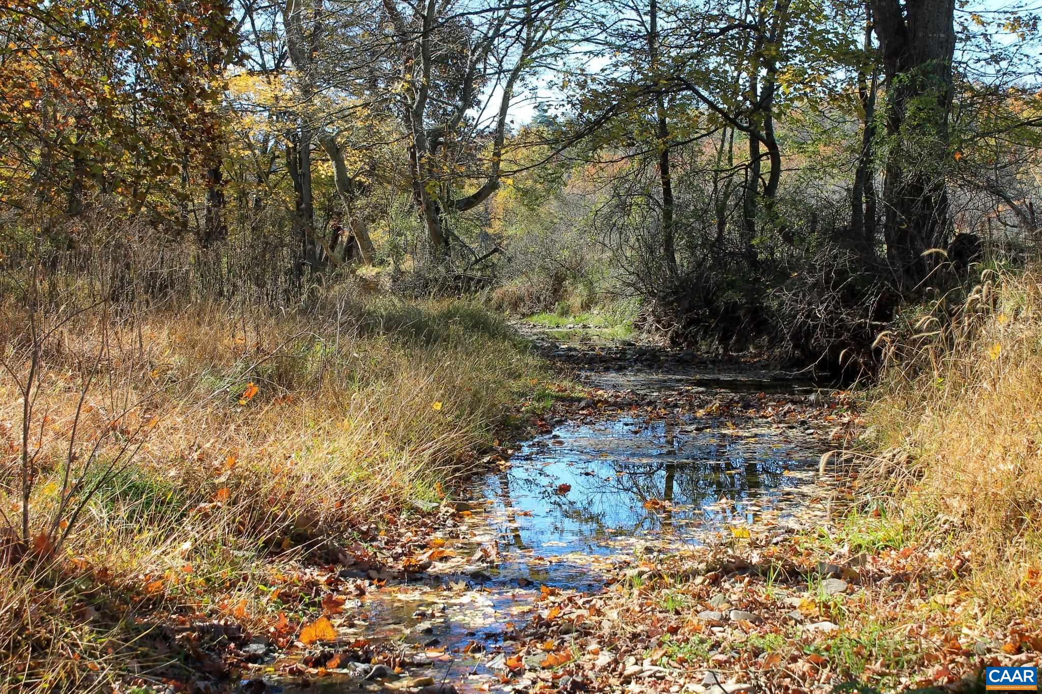Tbd Crab Run Road Bergton, VA 22811 - Photo 11 of 74 a picture of trees