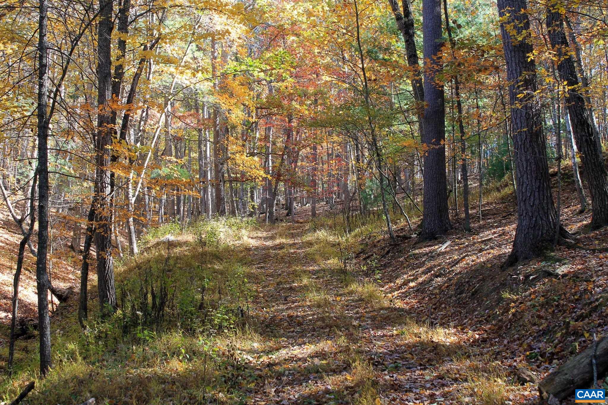 Tbd Crab Run Road Bergton, VA 22811 - Photo 12 of 74 a view of yard