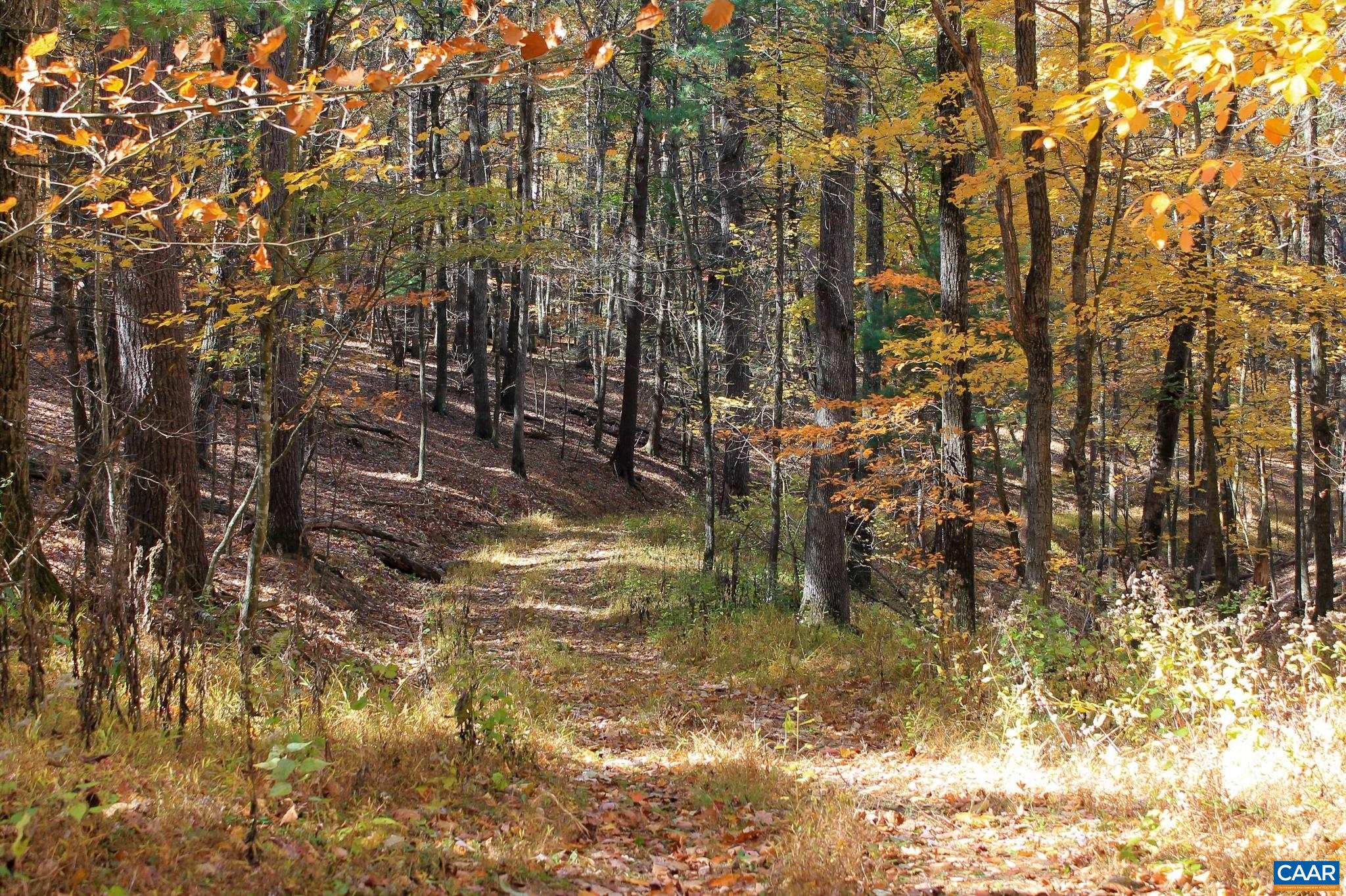 Tbd Crab Run Road Bergton, VA 22811 - Photo 18 of 74
