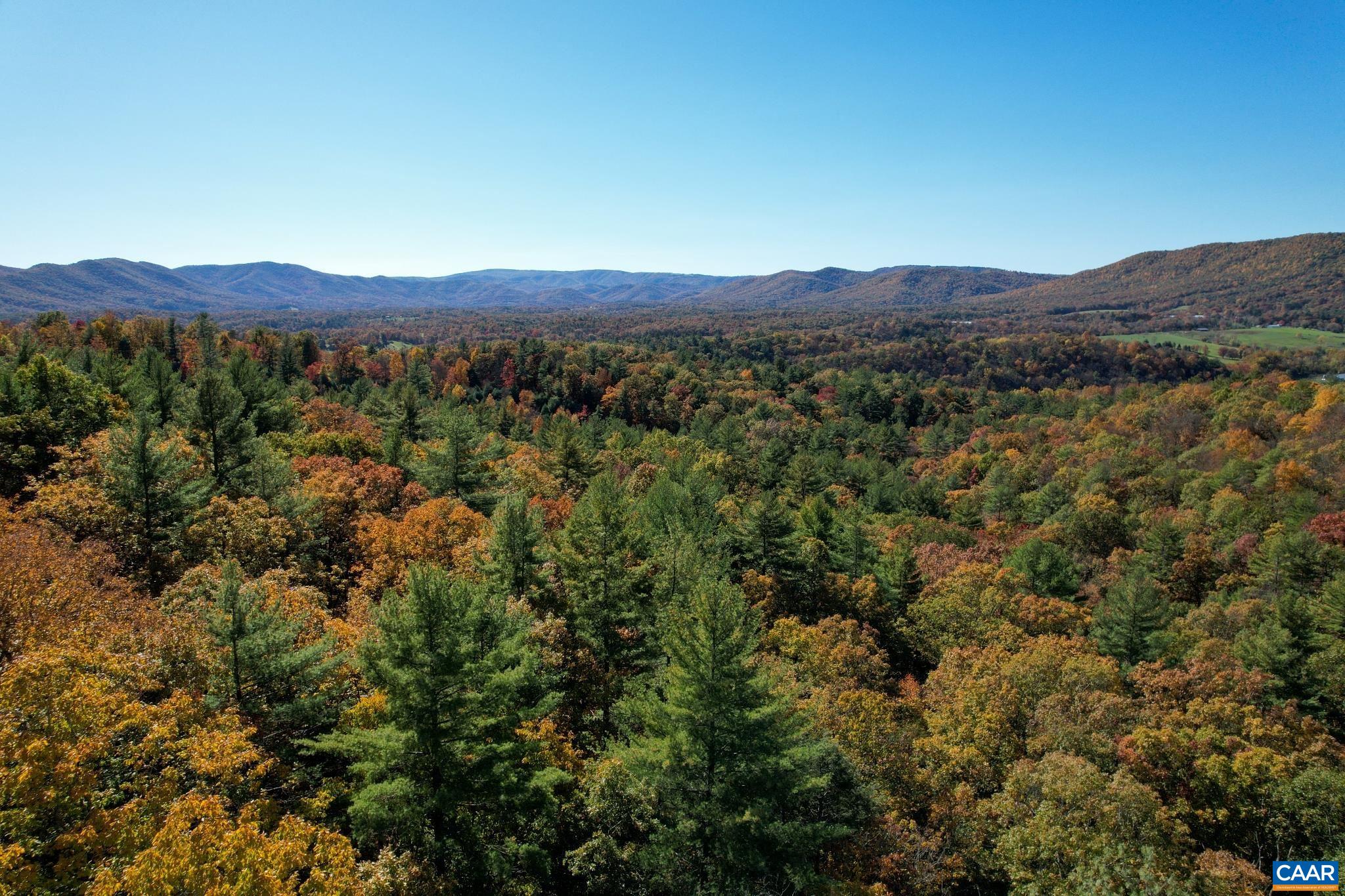 Tbd Crab Run Road Bergton, VA 22811 - Photo 19 of 74 a view of a large mountain with a tree in the background