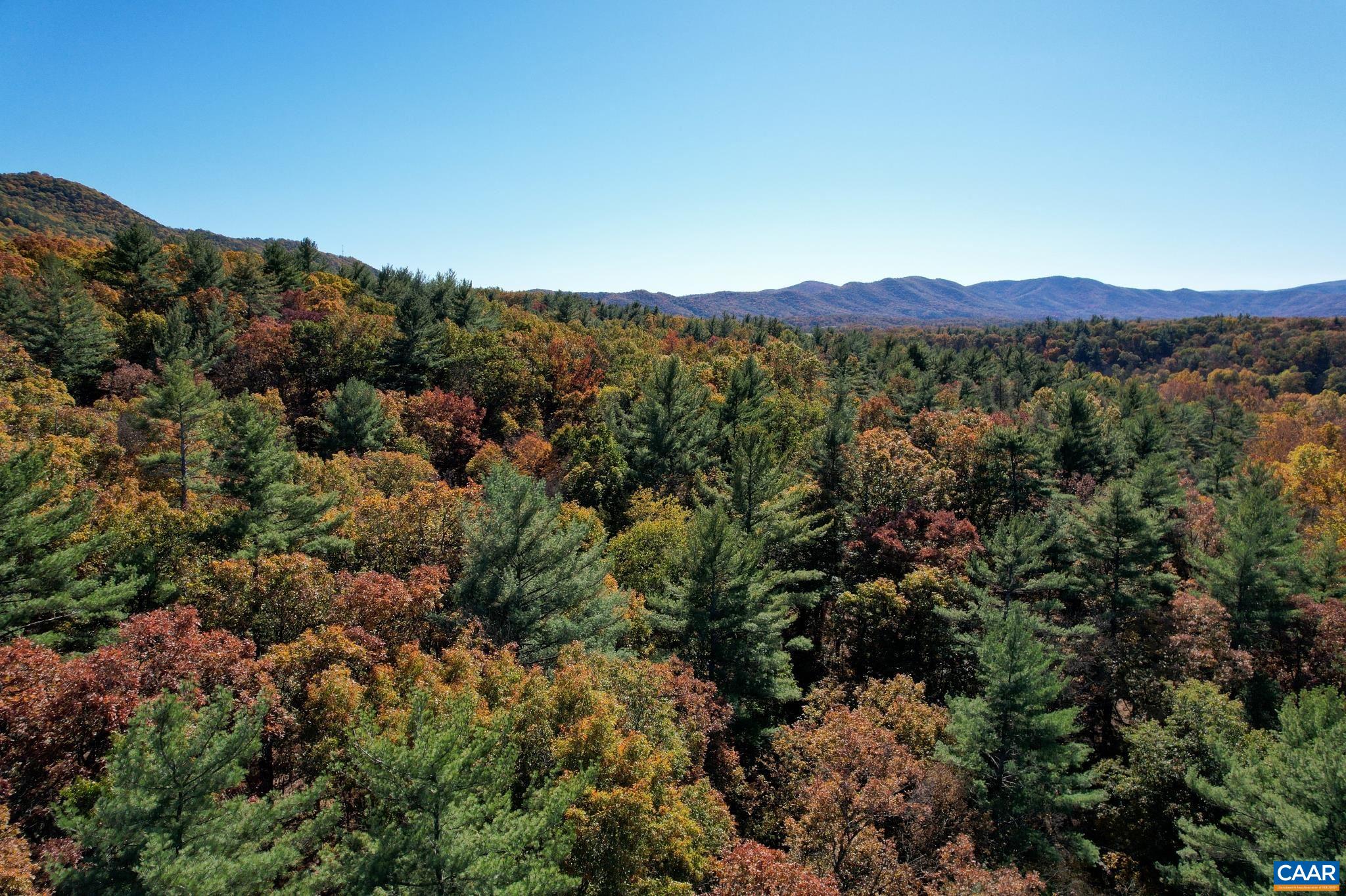 Tbd Crab Run Road Bergton, VA 22811 - Photo 21 of 74 a view of a forest with a mountain in the background