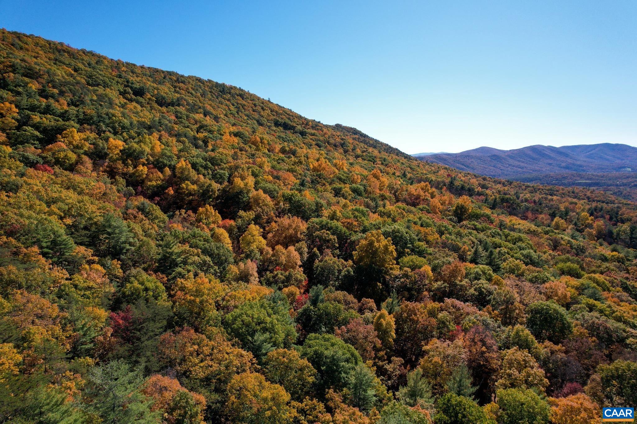 Tbd Crab Run Road Bergton, VA 22811 - Photo 22 of 74 a view of a large building