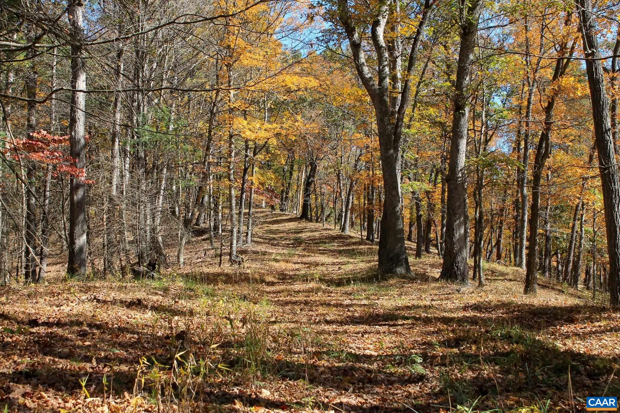 Tbd Crab Run Road Bergton, VA 22811 - Photo 25 of 74