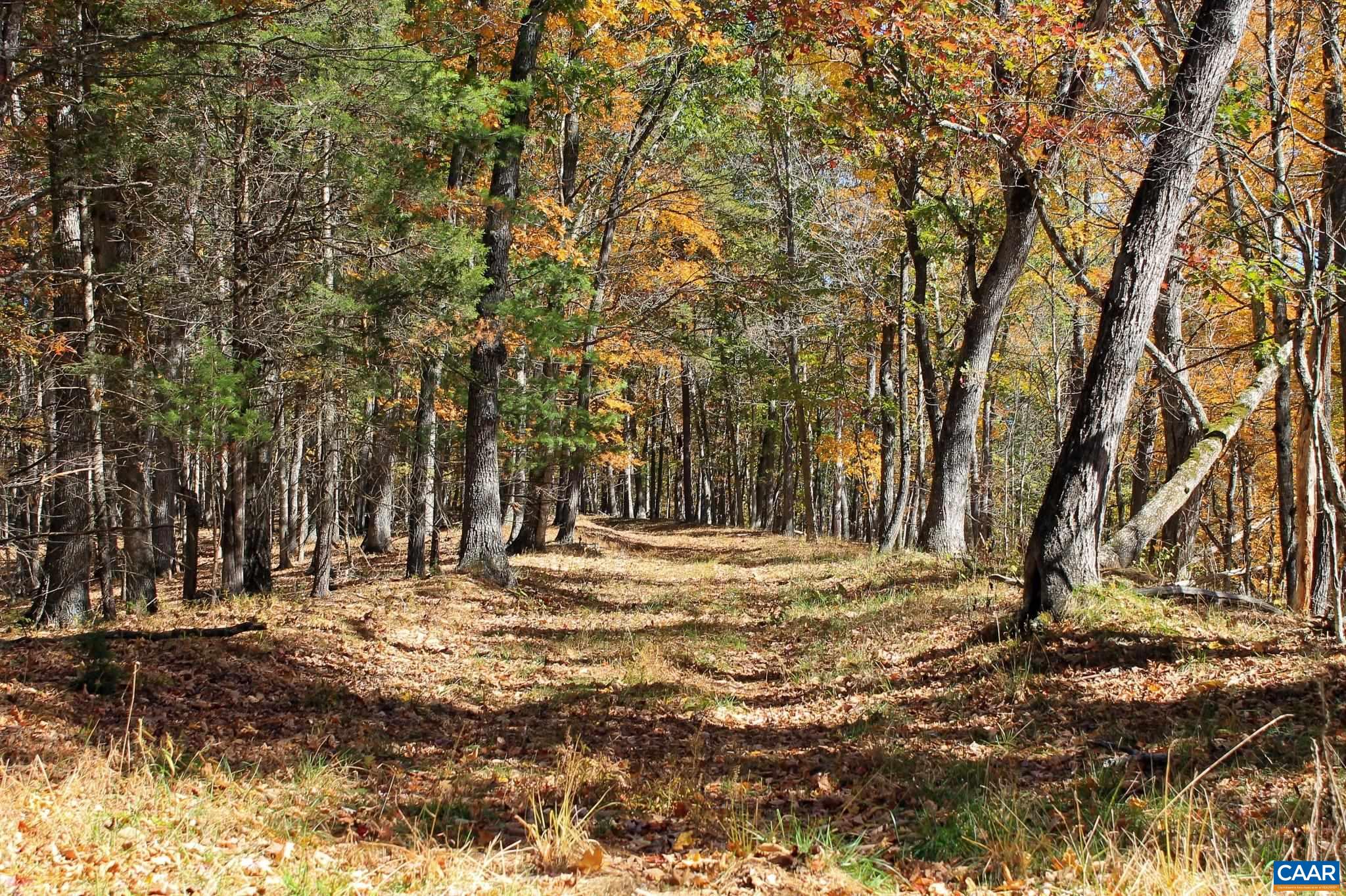 Tbd Crab Run Road Bergton, VA 22811 - Photo 26 of 74 a view of outdoor space with trees