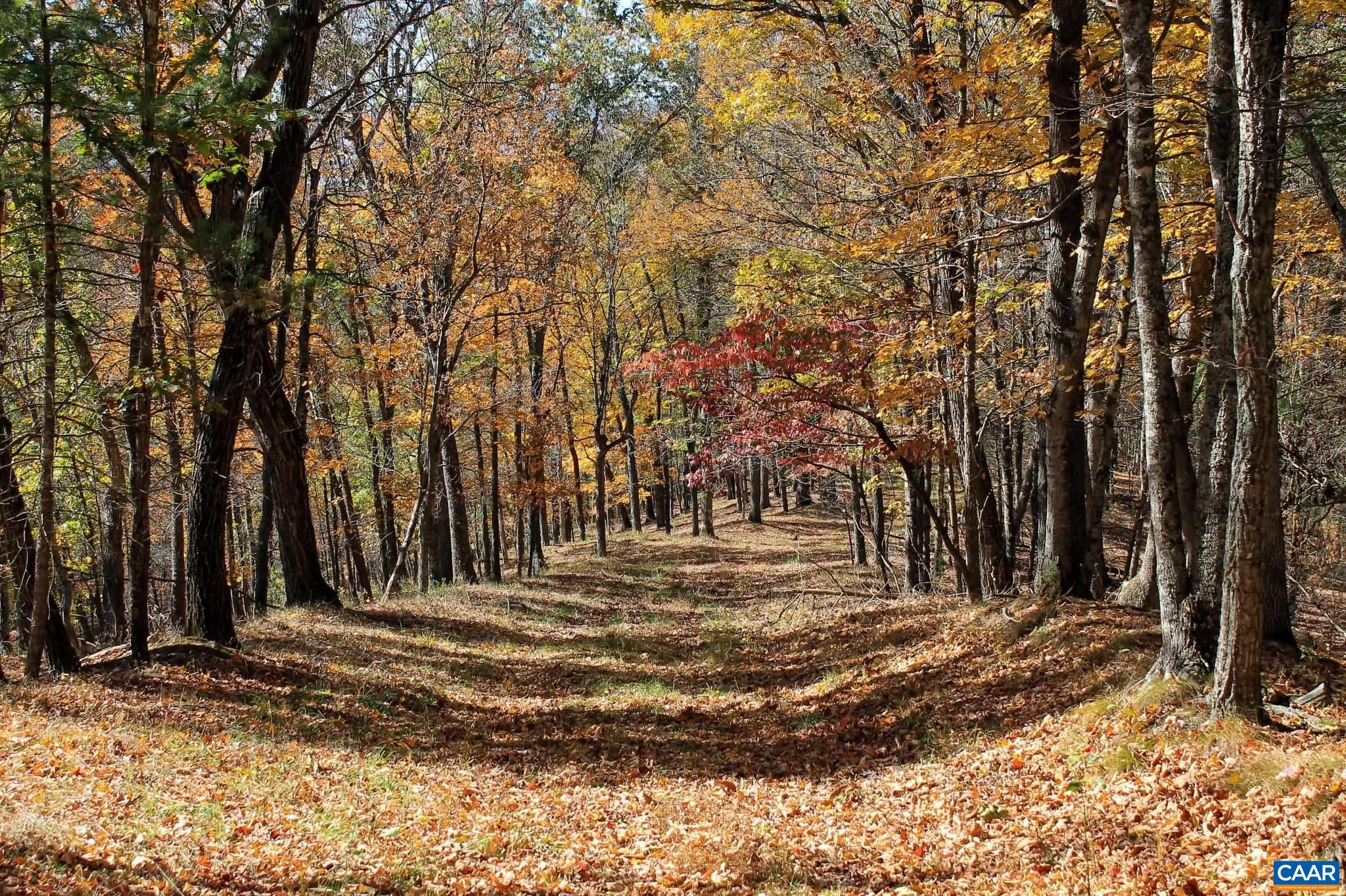 Tbd Crab Run Road Bergton, VA 22811 - Photo 27 of 74 a view of a backyard of the house