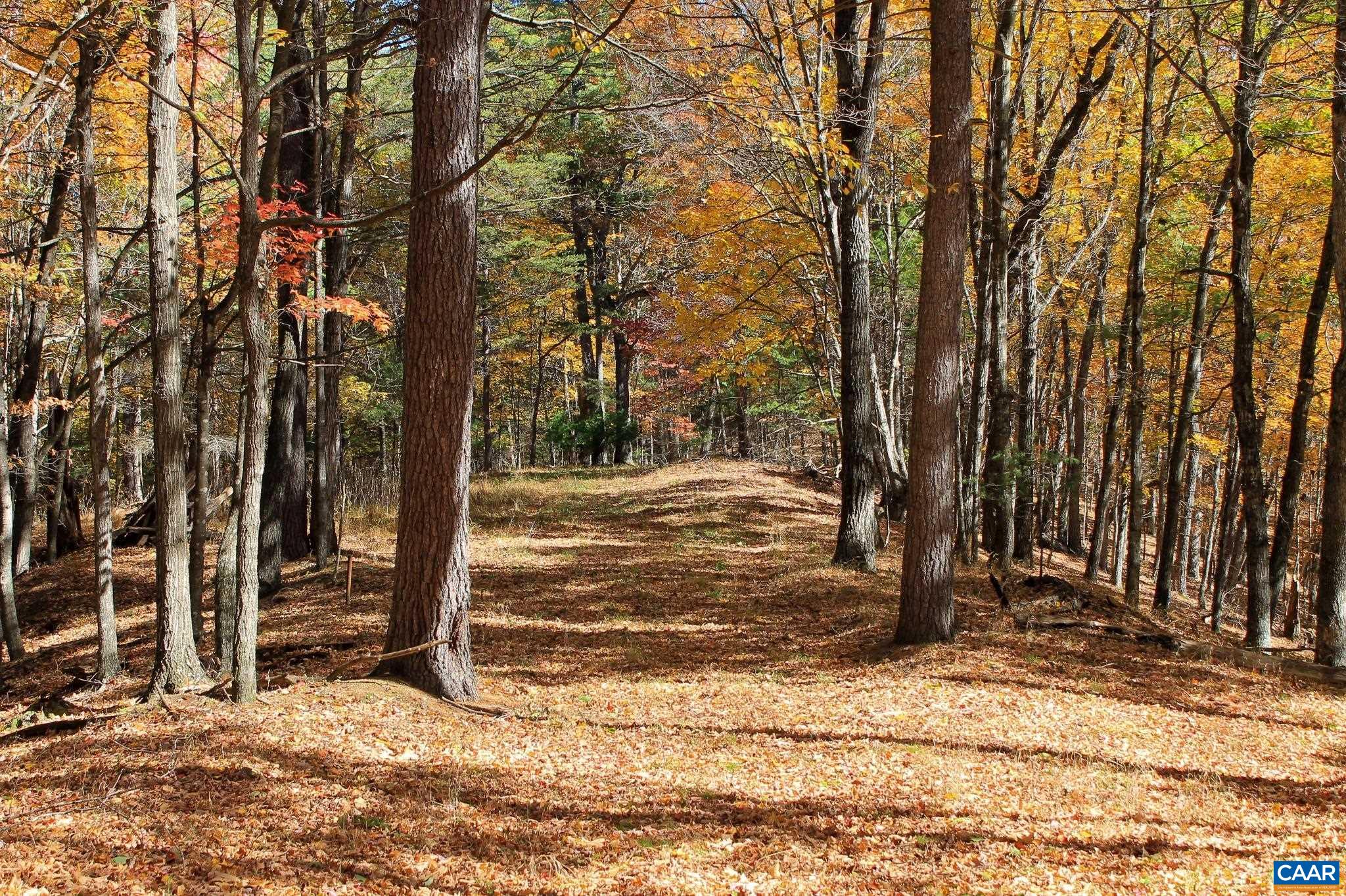 Tbd Crab Run Road Bergton, VA 22811 - Photo 29 of 74 a view of a house with trees