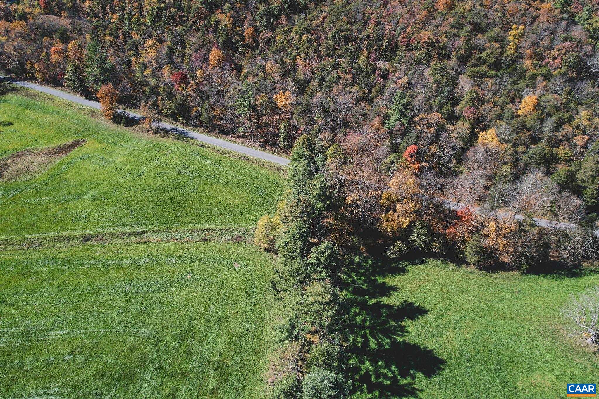 Tbd Crab Run Road Bergton, VA 22811 - Photo 3 of 74 a view of a field of grass and trees