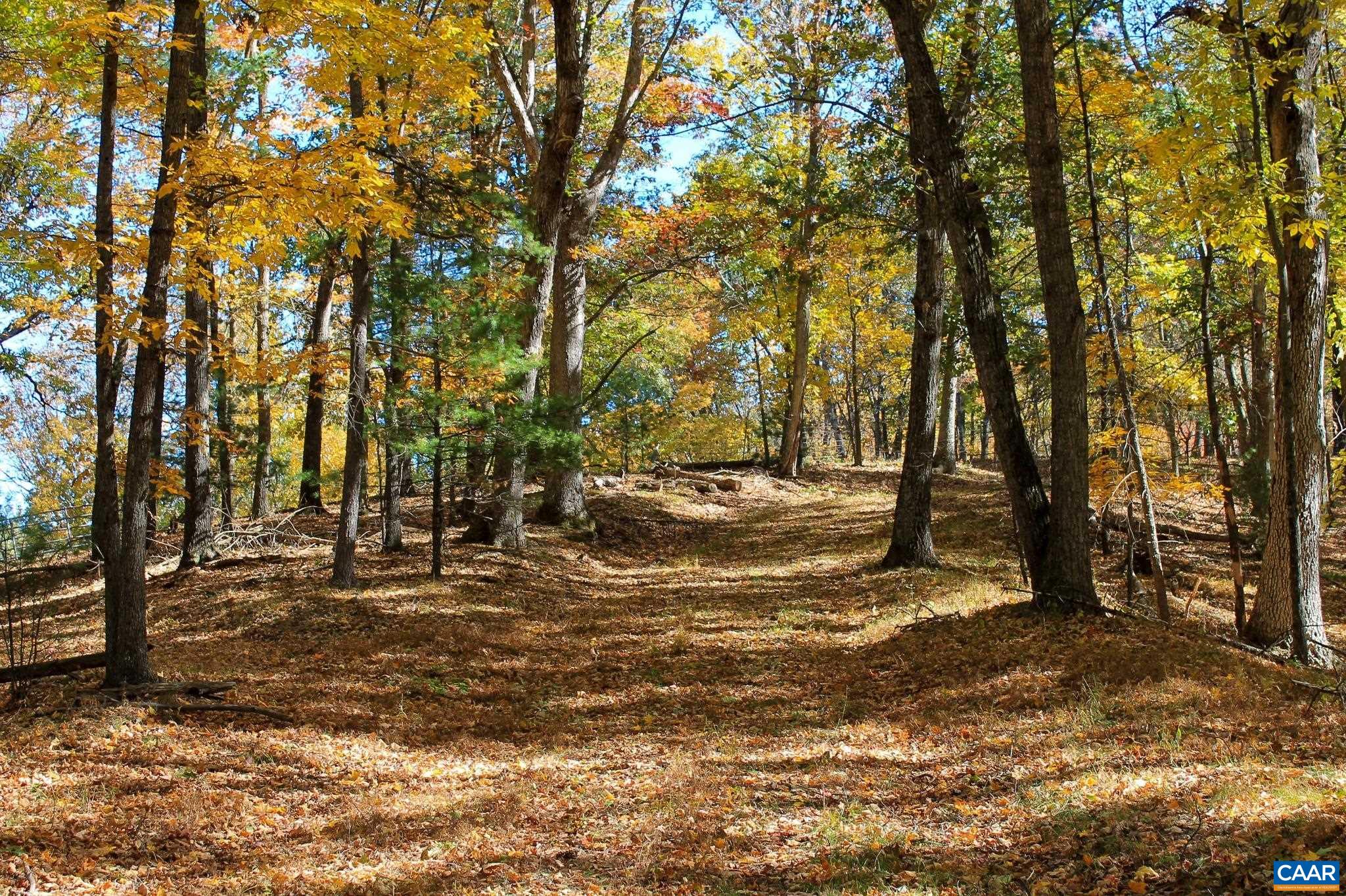 Tbd Crab Run Road Bergton, VA 22811 - Photo 31 of 74