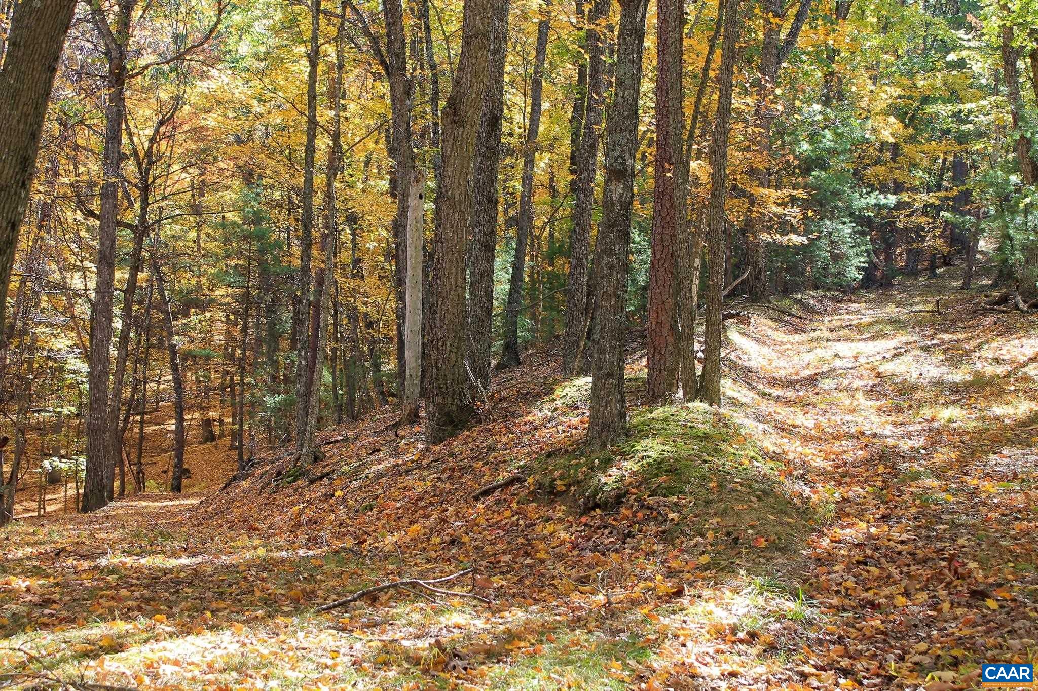 Tbd Crab Run Road Bergton, VA 22811 - Photo 33 of 74 a backyard of a house with lots of green space