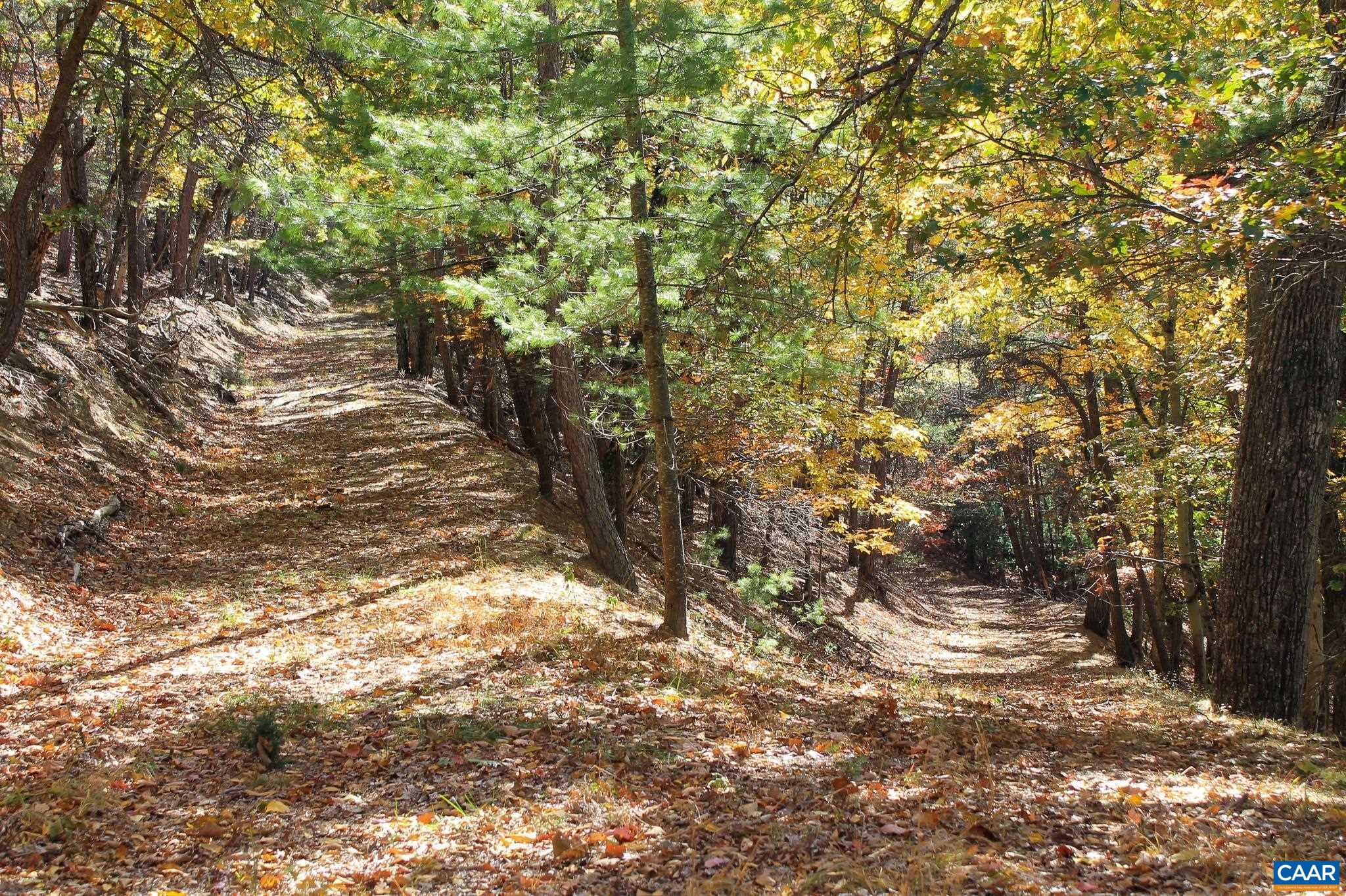 Tbd Crab Run Road Bergton, VA 22811 - Photo 34 of 74 a view of a yard with trees