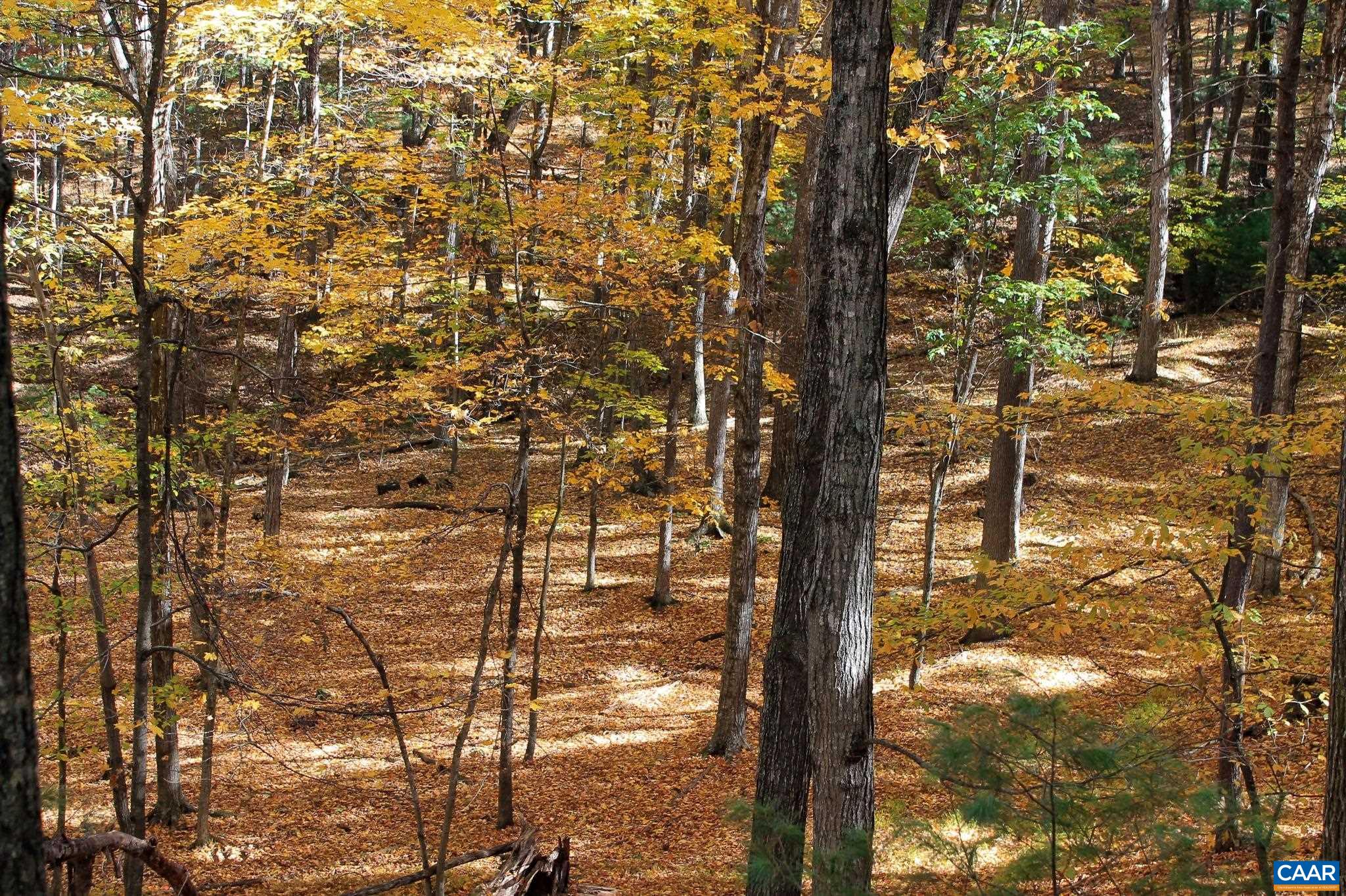 Tbd Crab Run Road Bergton, VA 22811 - Photo 35 of 74