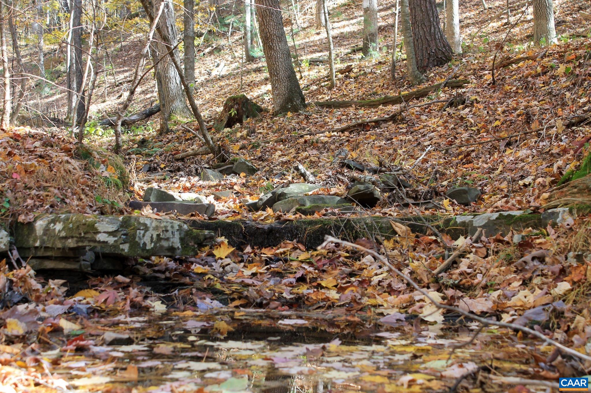 Tbd Crab Run Road Bergton, VA 22811 - Photo 40 of 74 a view of a yard with a tree