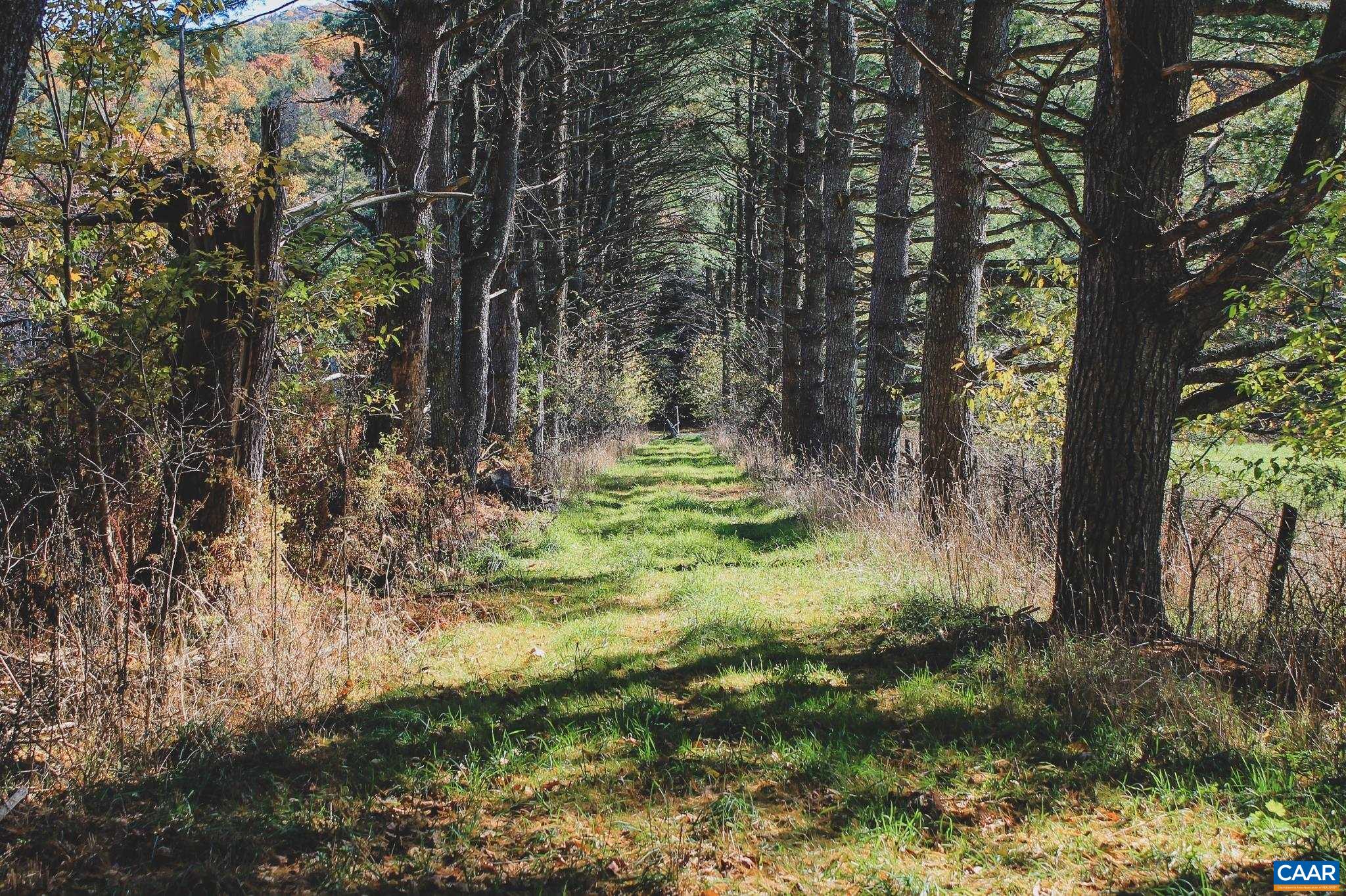 Tbd Crab Run Road Bergton, VA 22811 - Photo 4 of 74 a backyard of a house with lots of green space