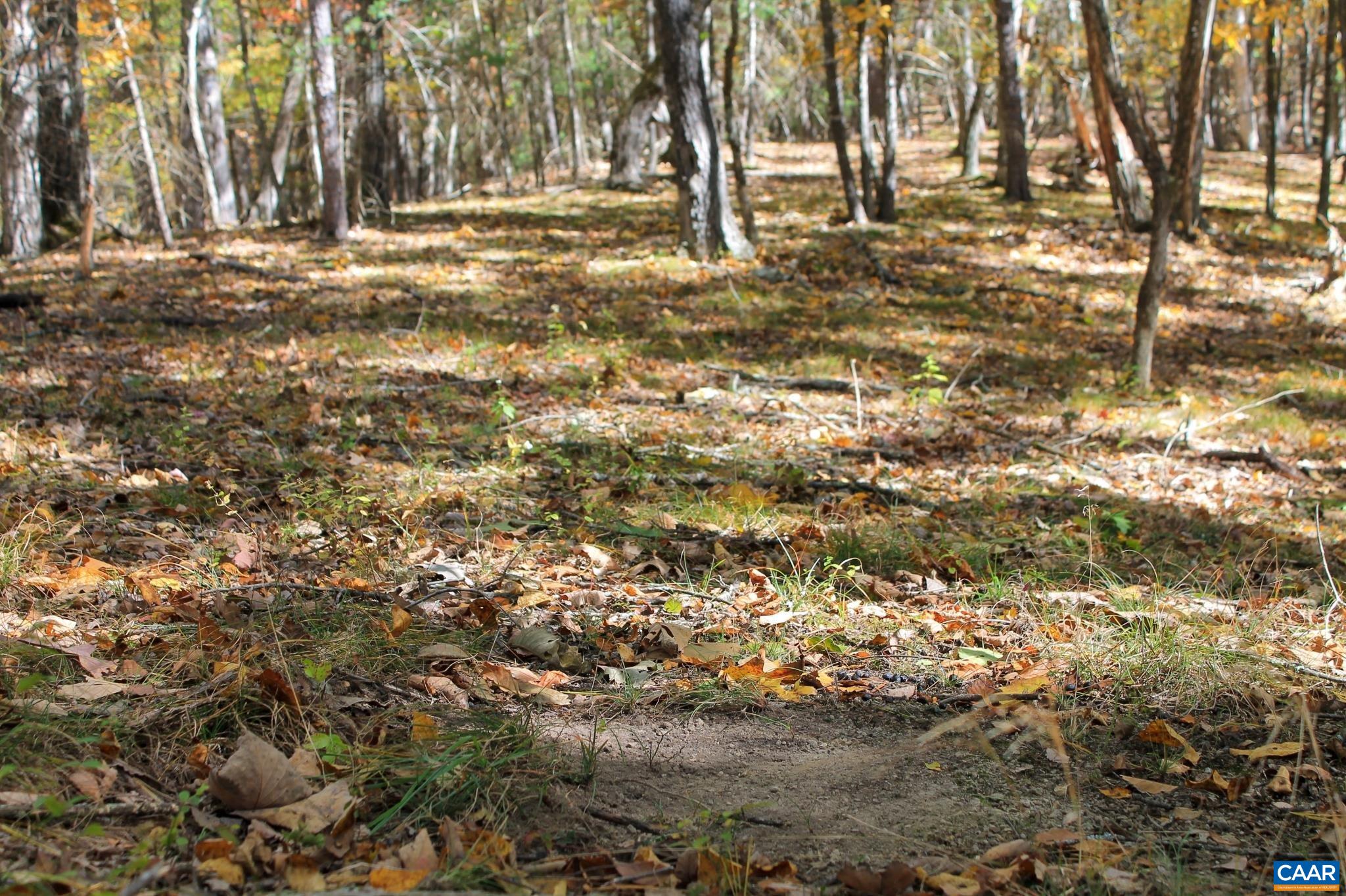 Tbd Crab Run Road Bergton, VA 22811 - Photo 43 of 74 a view of outdoor space with trees