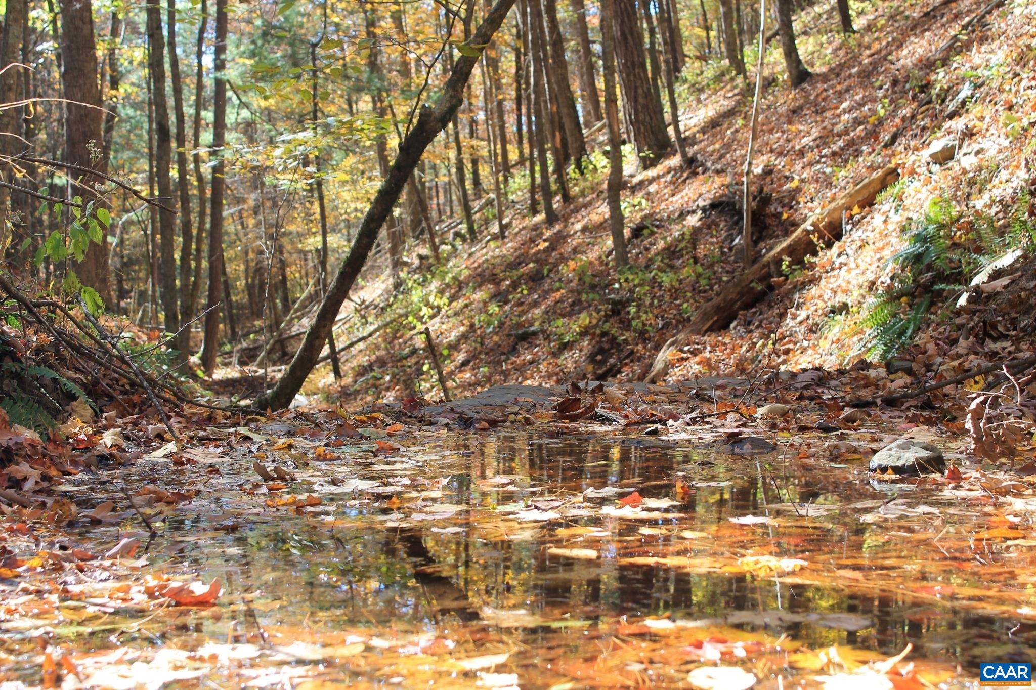 Tbd Crab Run Road Bergton, VA 22811 - Photo 46 of 74