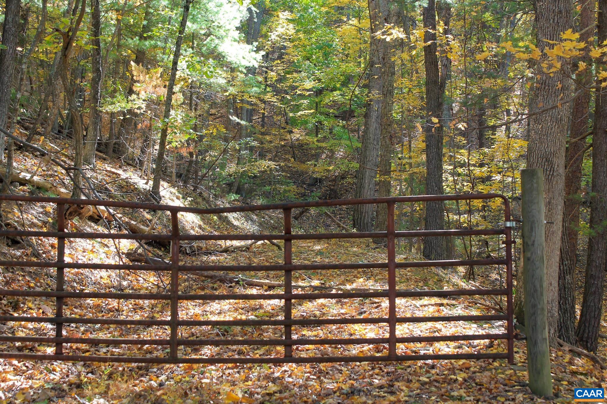 Tbd Crab Run Road Bergton, VA 22811 - Photo 50 of 74