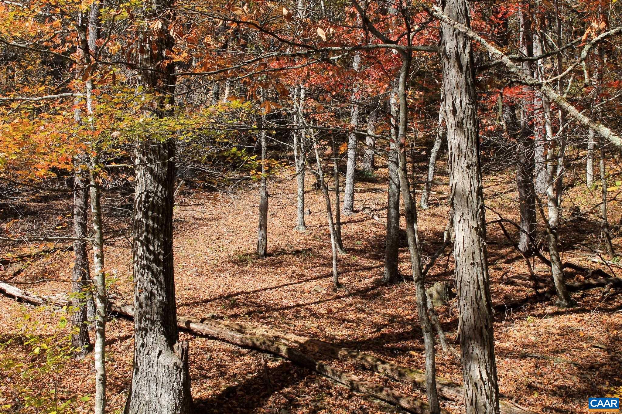 Tbd Crab Run Road Bergton, VA 22811 - Photo 51 of 74 a view of a yard