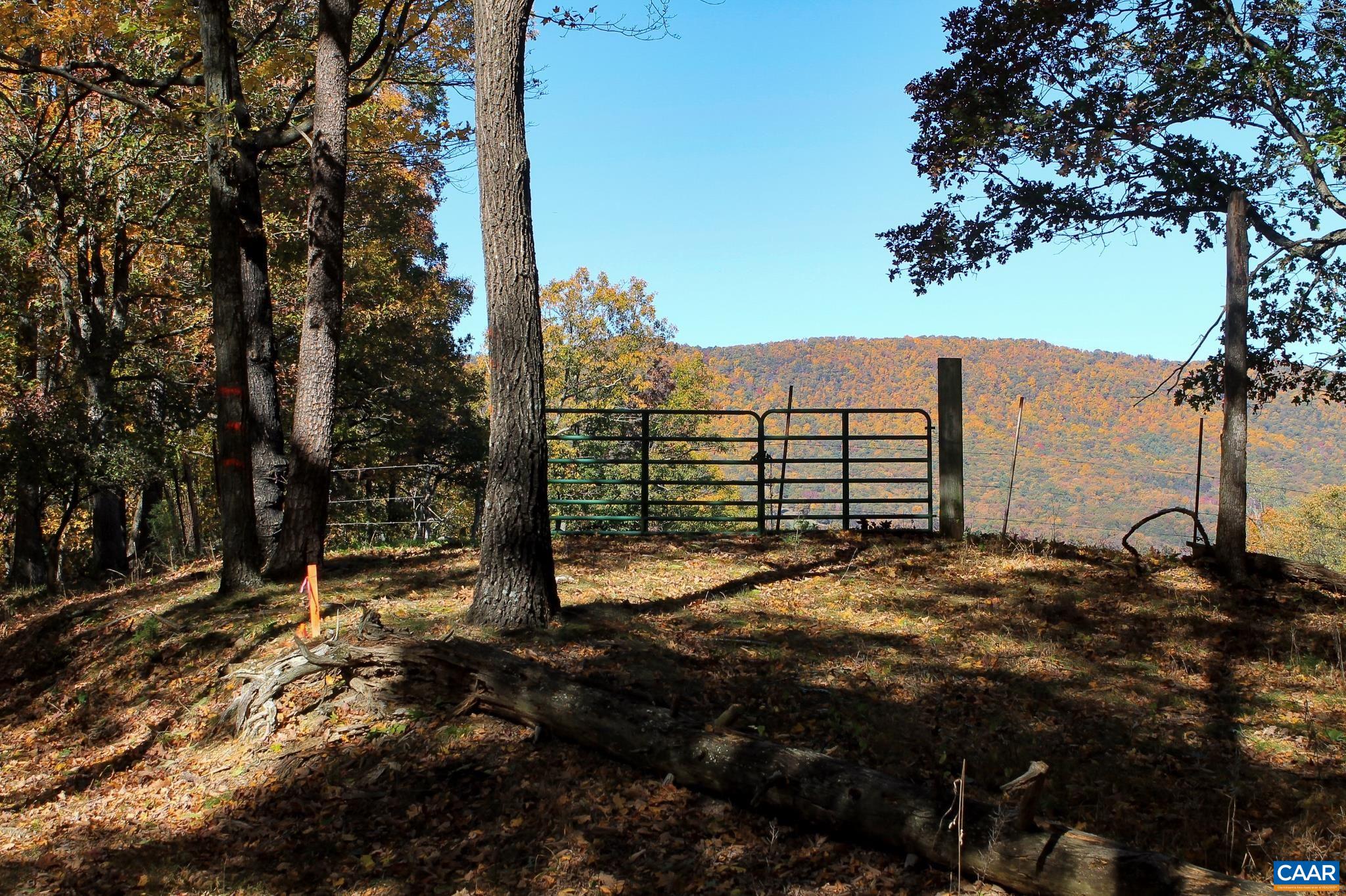 Tbd Crab Run Road Bergton, VA 22811 - Photo 52 of 74 a view of a tree with a yard