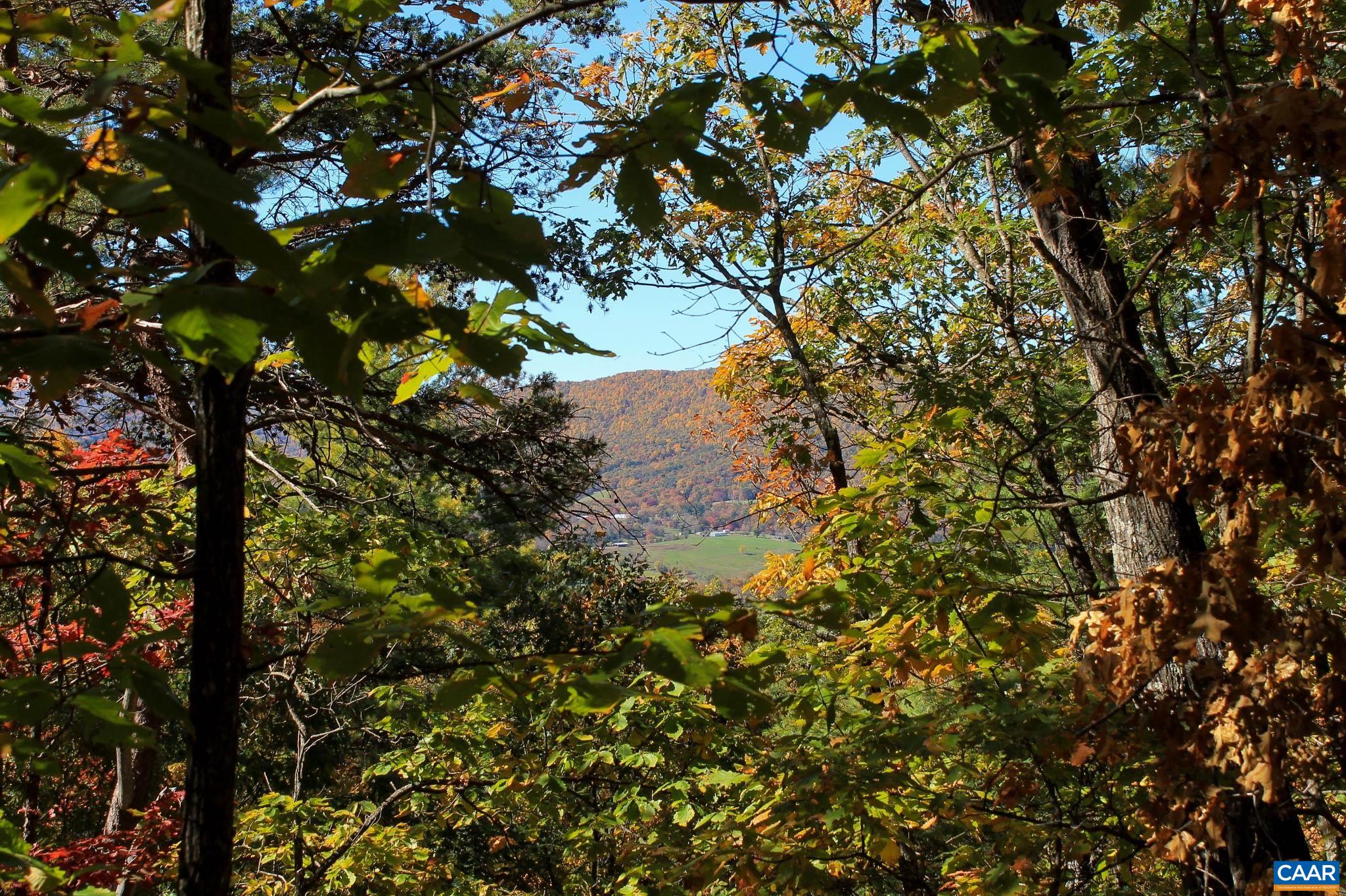 Tbd Crab Run Road Bergton, VA 22811 - Photo 53 of 74 a view of a tree