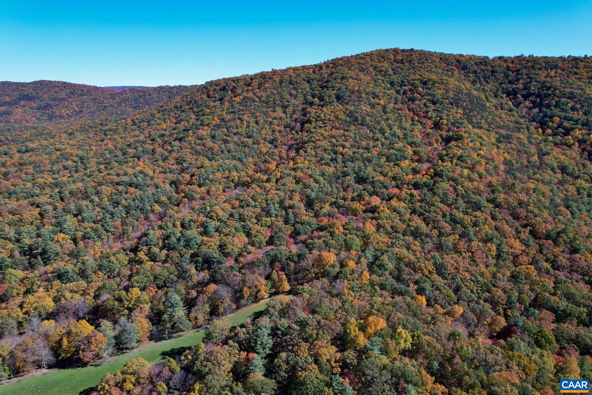 Tbd Crab Run Road Bergton, VA 22811 - Photo 63 of 74