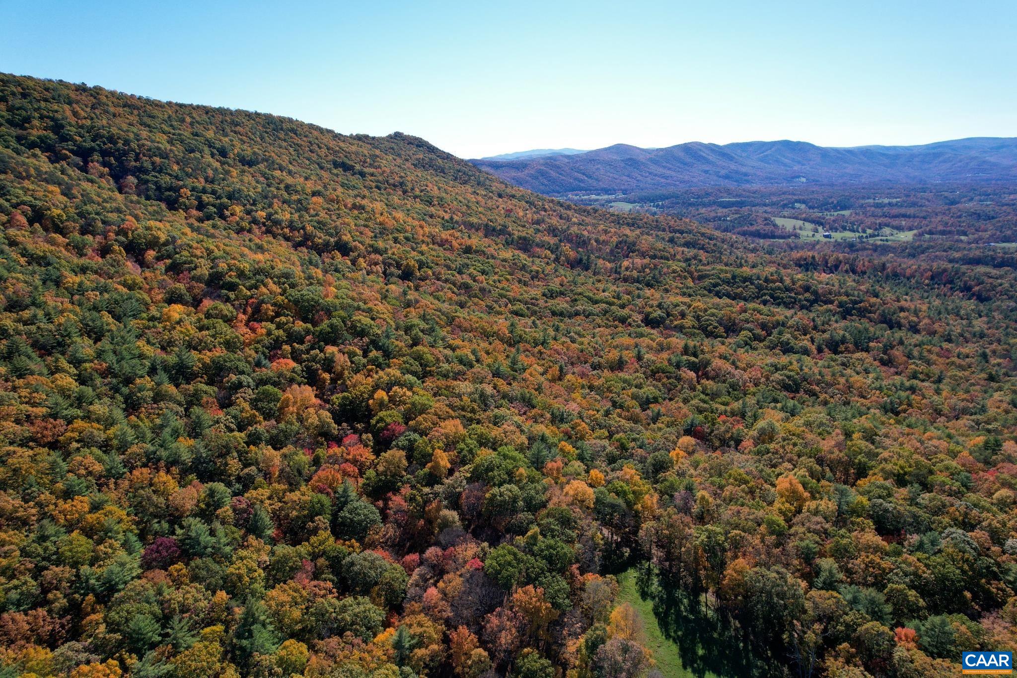 Tbd Crab Run Road Bergton, VA 22811 - Photo 64 of 74 an aerial view of residential house and green space