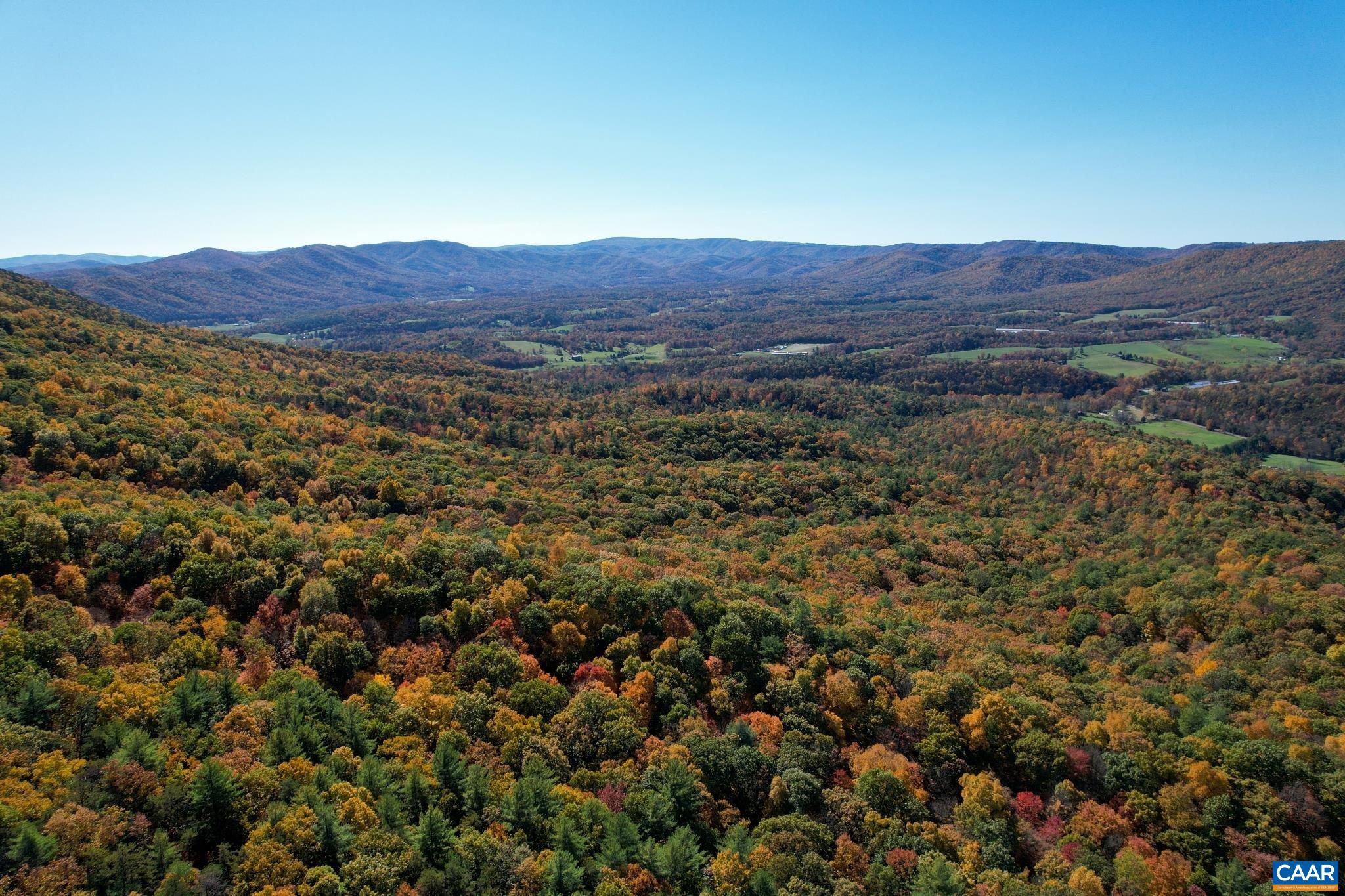 Tbd Crab Run Road Bergton, VA 22811 - Photo 66 of 74 a view of a large tree in a field