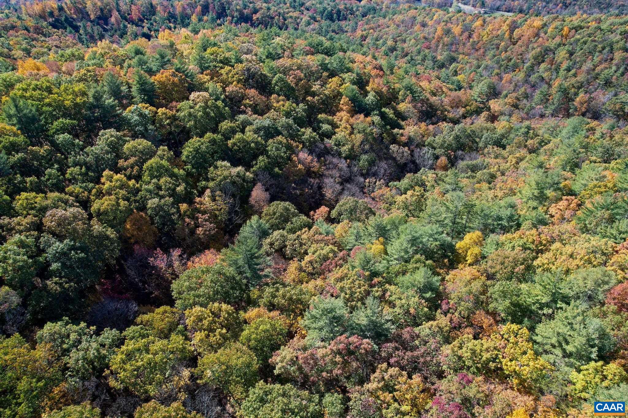 Tbd Crab Run Road Bergton, VA 22811 - Photo 68 of 74