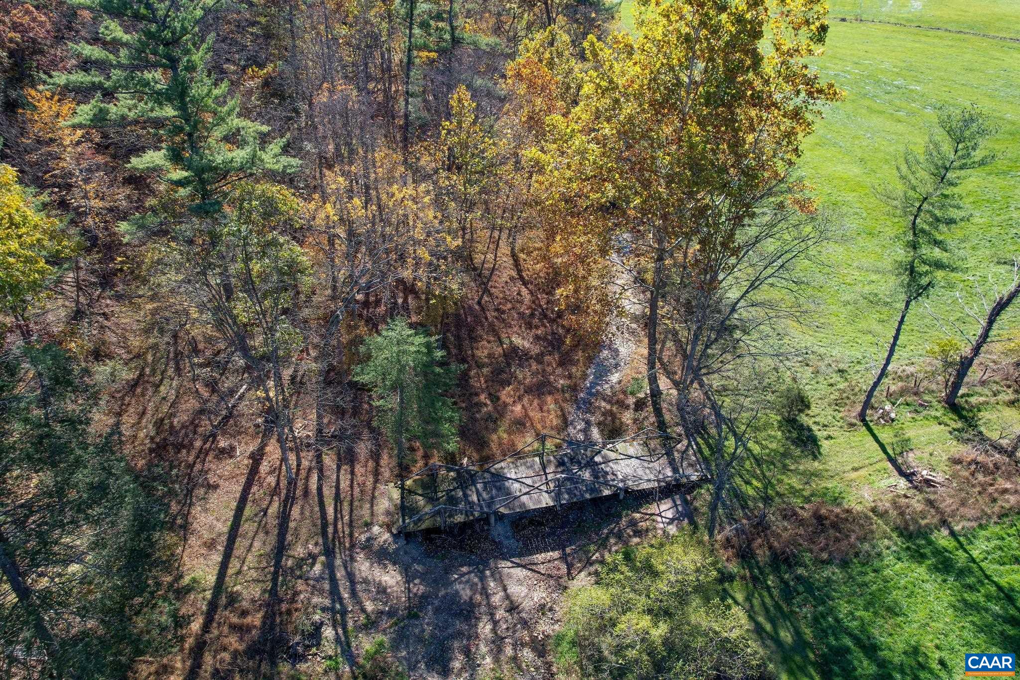 Tbd Crab Run Road Bergton, VA 22811 - Photo 7 of 74 a view of a yard
