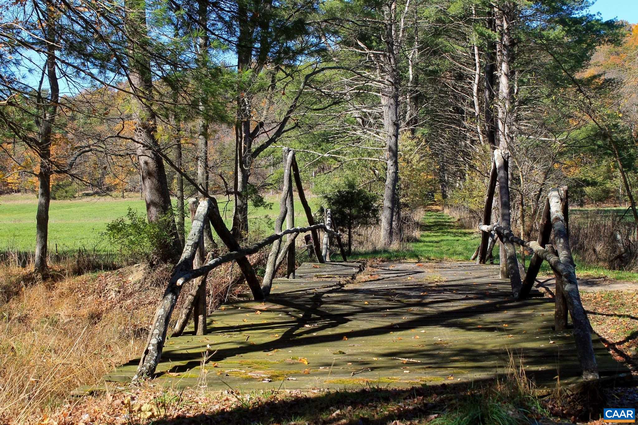 Tbd Crab Run Road Bergton, VA 22811 - Photo 9 of 74 a view of a tree in front of a house