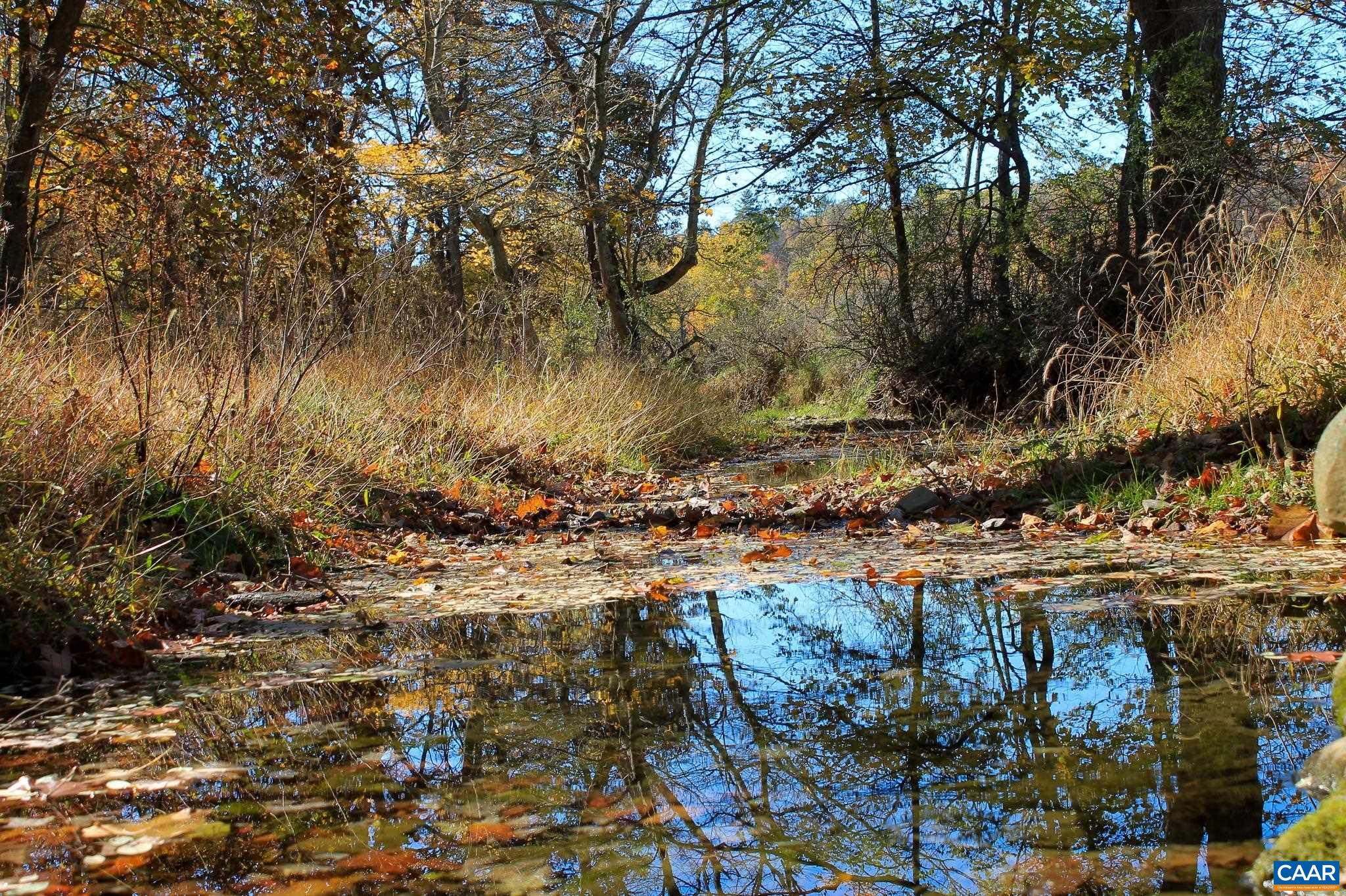 Tbd Crab Run Road Bergton, VA 22811 - Photo 10 of 74 a view of a yard with trees