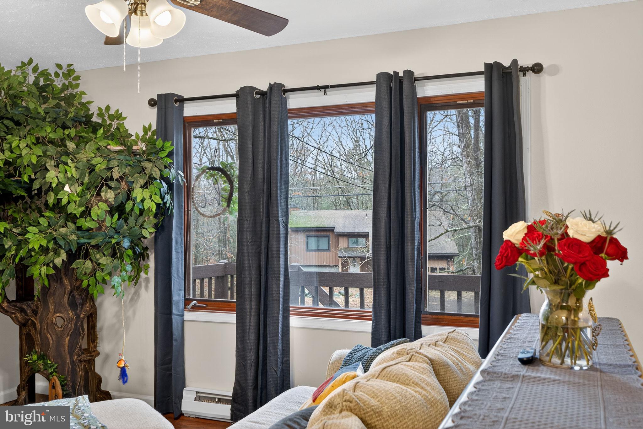 244 Canterbury Road Bushkill, PA 18324 - Photo 19 of 45 Large windows in living room over looking front