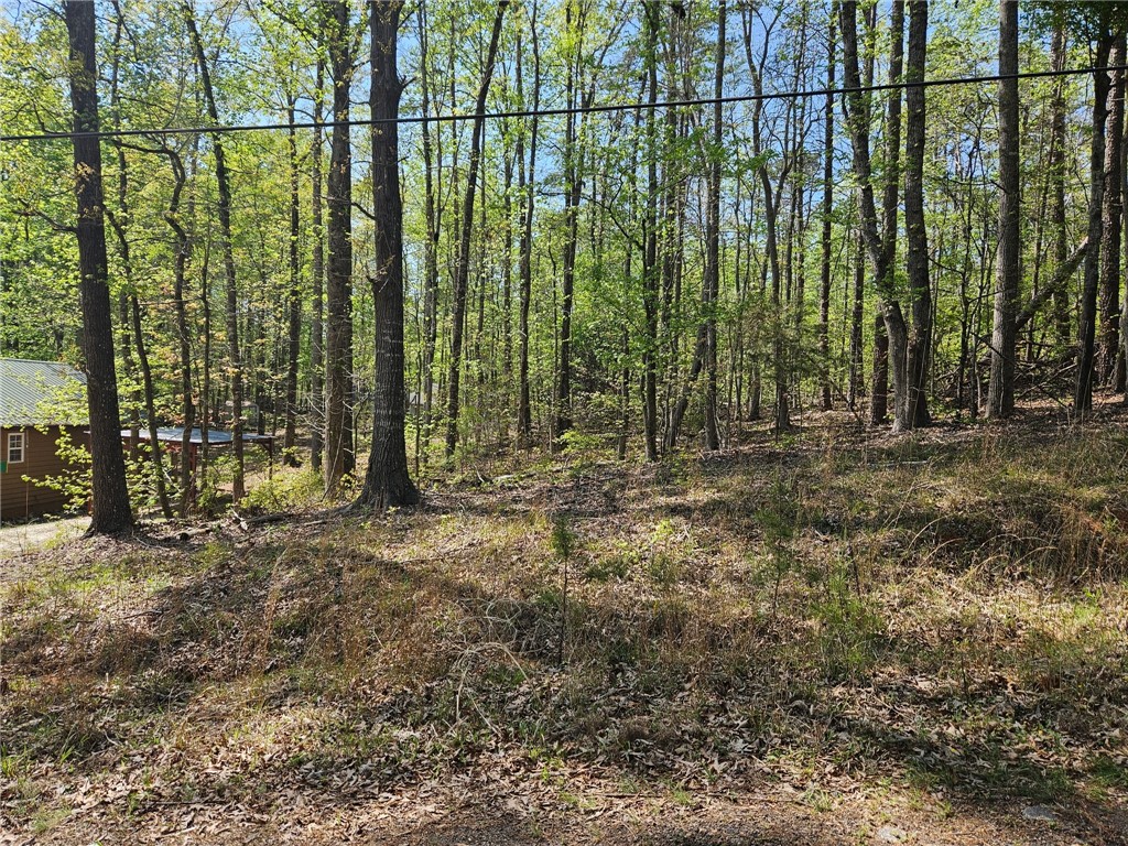 314 Blue Ridge Court Westminster, SC 29693 - Photo 1 of 7 Lot from Street