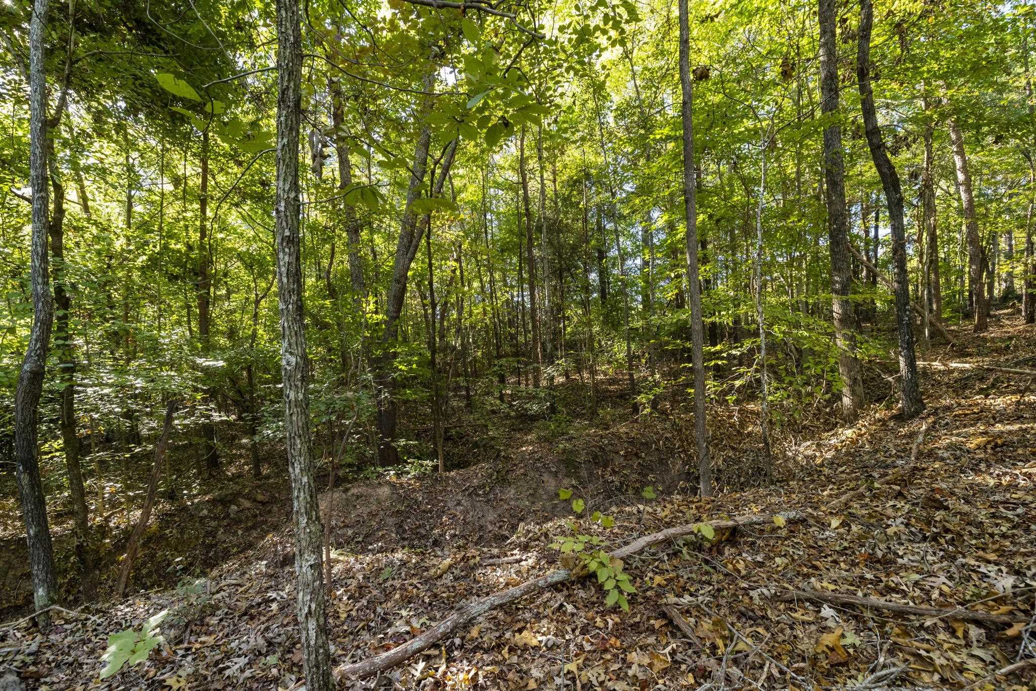 0 Gossett Road Gray Court, SC 29645 - Photo 11 of 22 Gallery Image 11