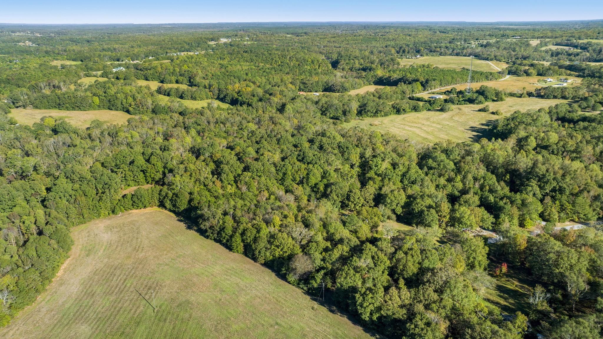 0 Gossett Road Gray Court, SC 29645 - Photo 12 of 22 Gallery Image 12