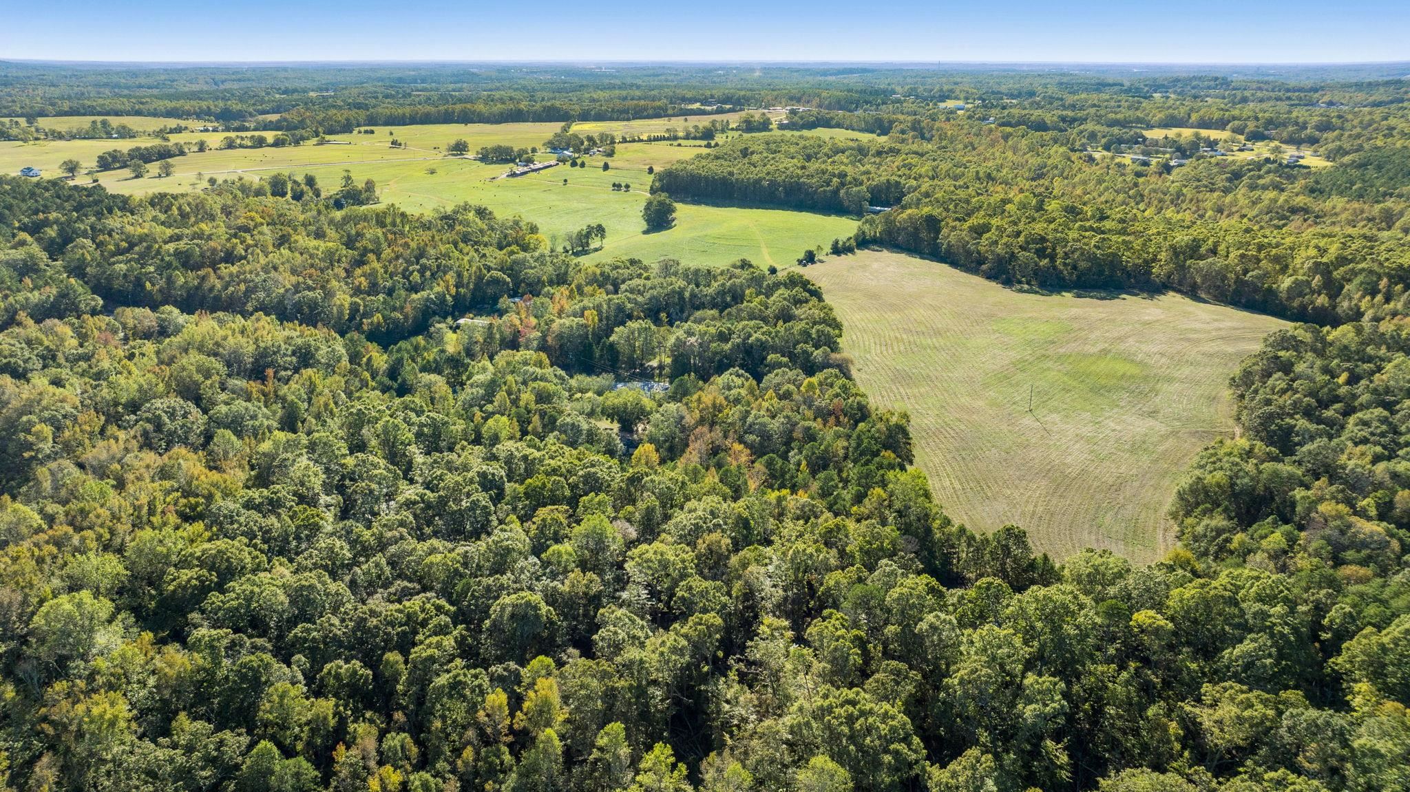 0 Gossett Road Gray Court, SC 29645 - Photo 16 of 22 Gallery Image 16