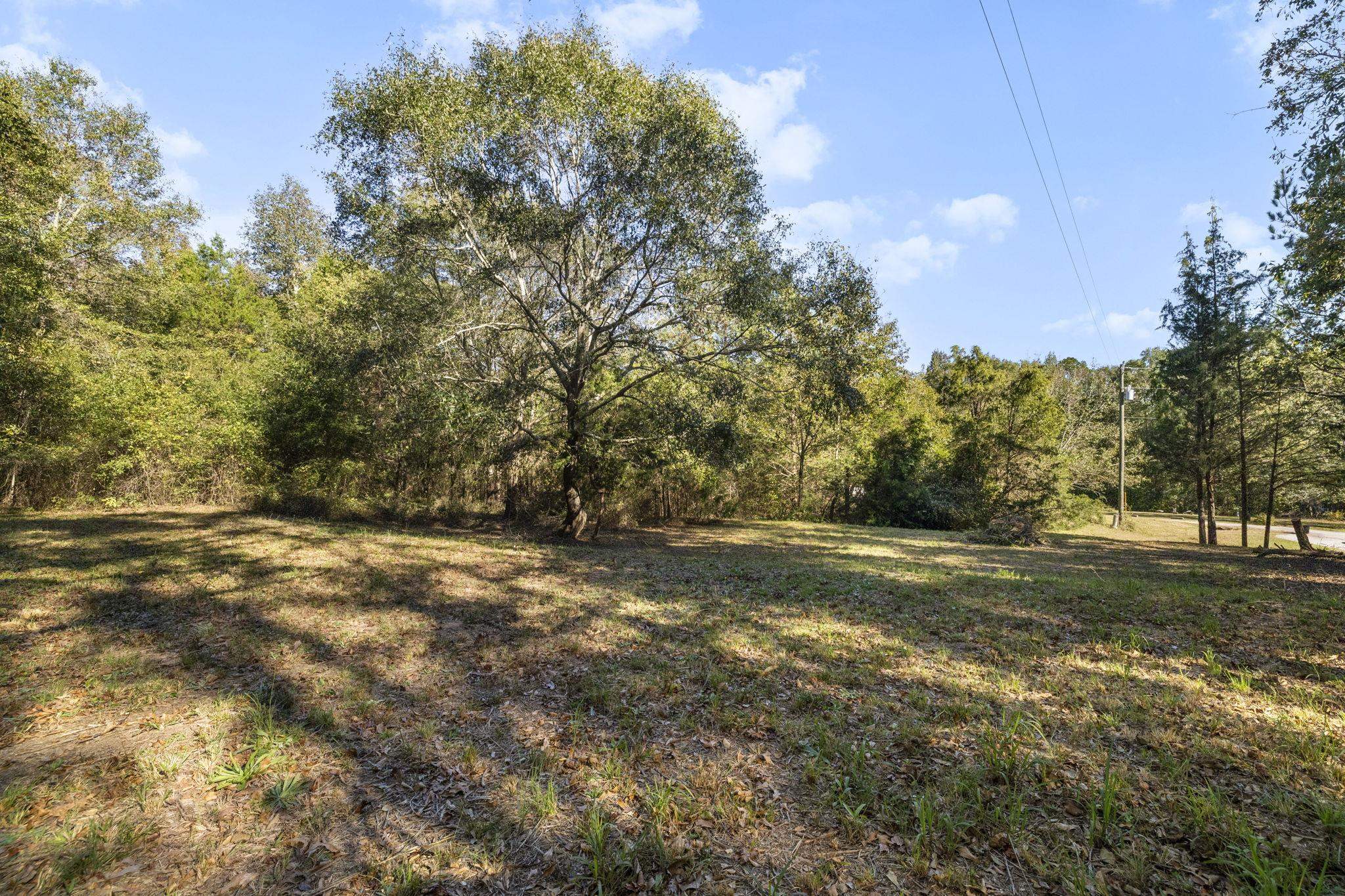 0 Gossett Road Gray Court, SC 29645 - Photo 4 of 22 Gallery Image 4