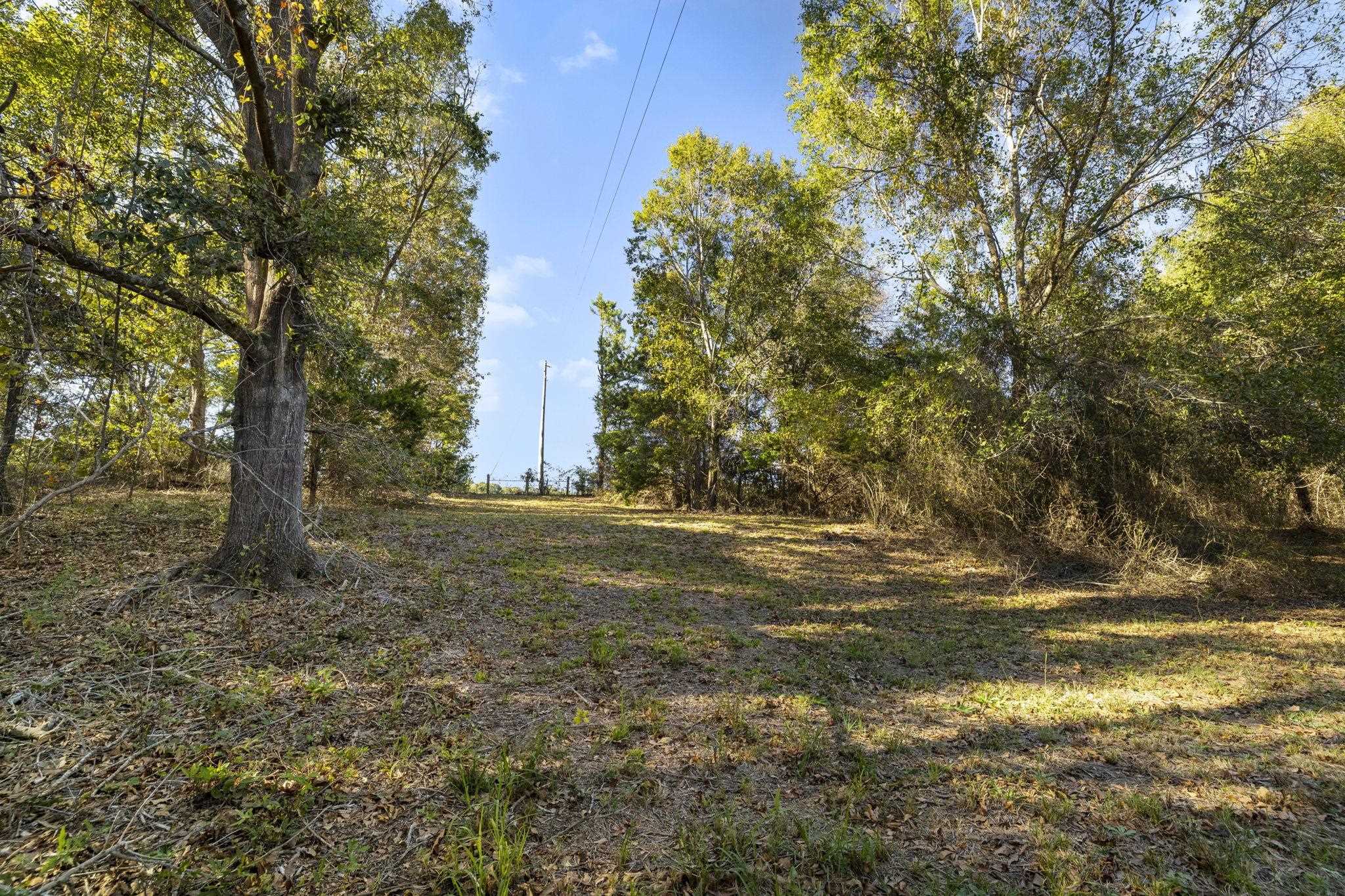 0 Gossett Road Gray Court, SC 29645 - Photo 6 of 22 Gallery Image 6