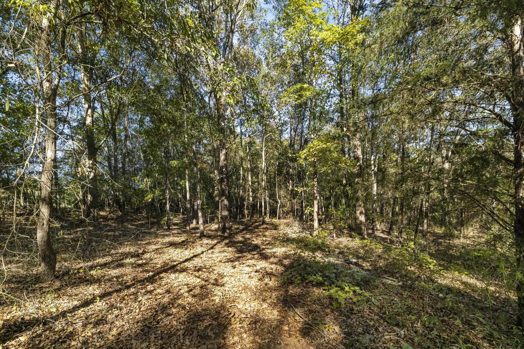 0 Gossett Road Gray Court, SC 29645 - Photo 7 of 22 Gallery Image 7
