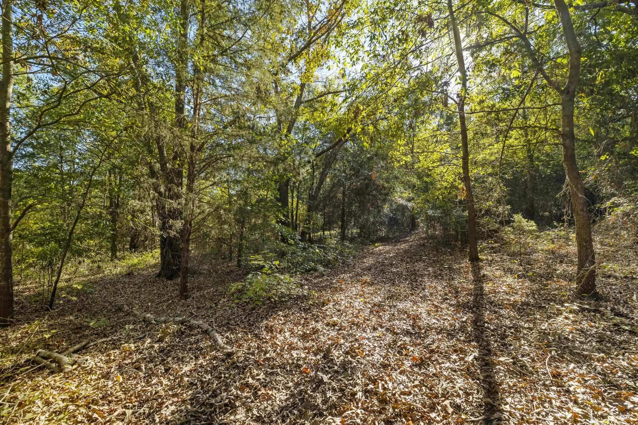 0 Gossett Road Gray Court, SC 29645 - Photo 8 of 22 Gallery Image 8