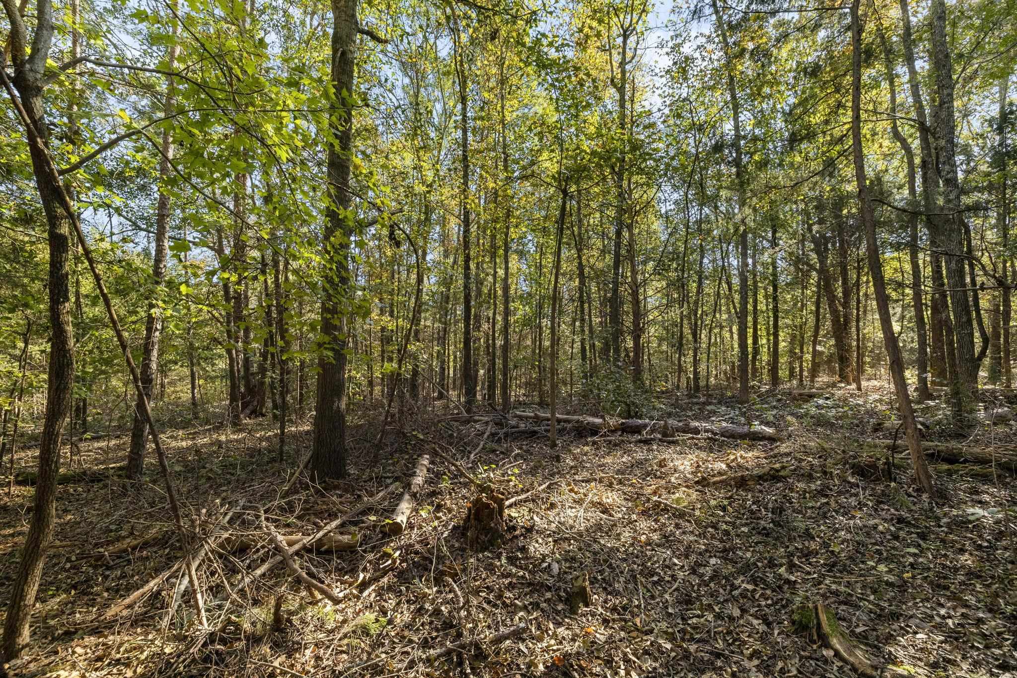 0 Gossett Road Gray Court, SC 29645 - Photo 9 of 22 Gallery Image 9