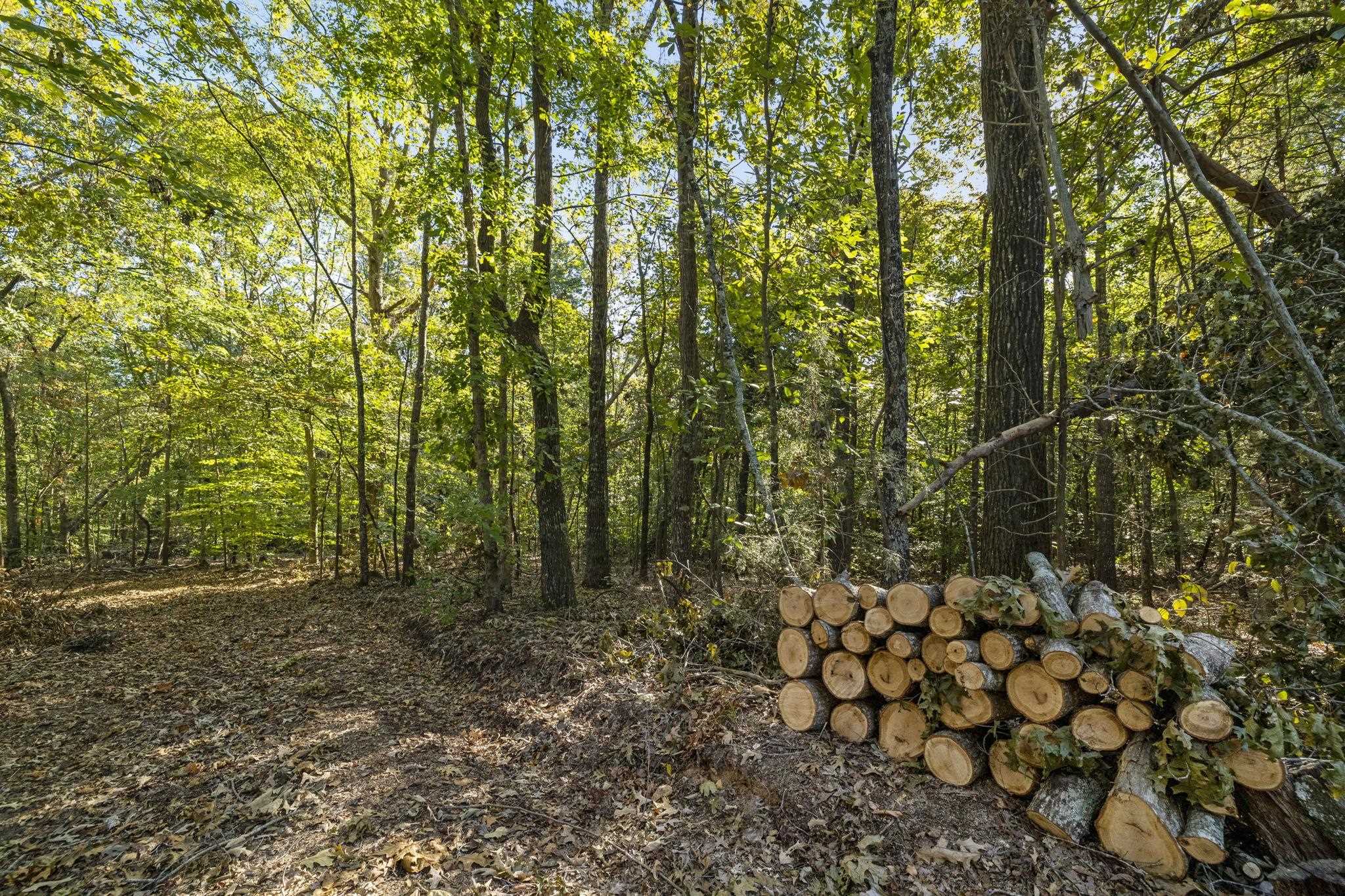 0 Gossett Road Gray Court, SC 29645 - Photo 10 of 22 Gallery Image 10