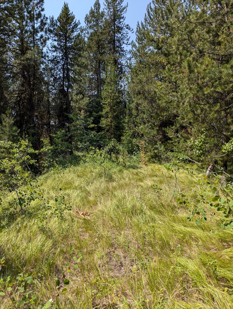 32 Thunderbolt Place, Unit 79 McCall, ID 83638 - Photo 10 of 12