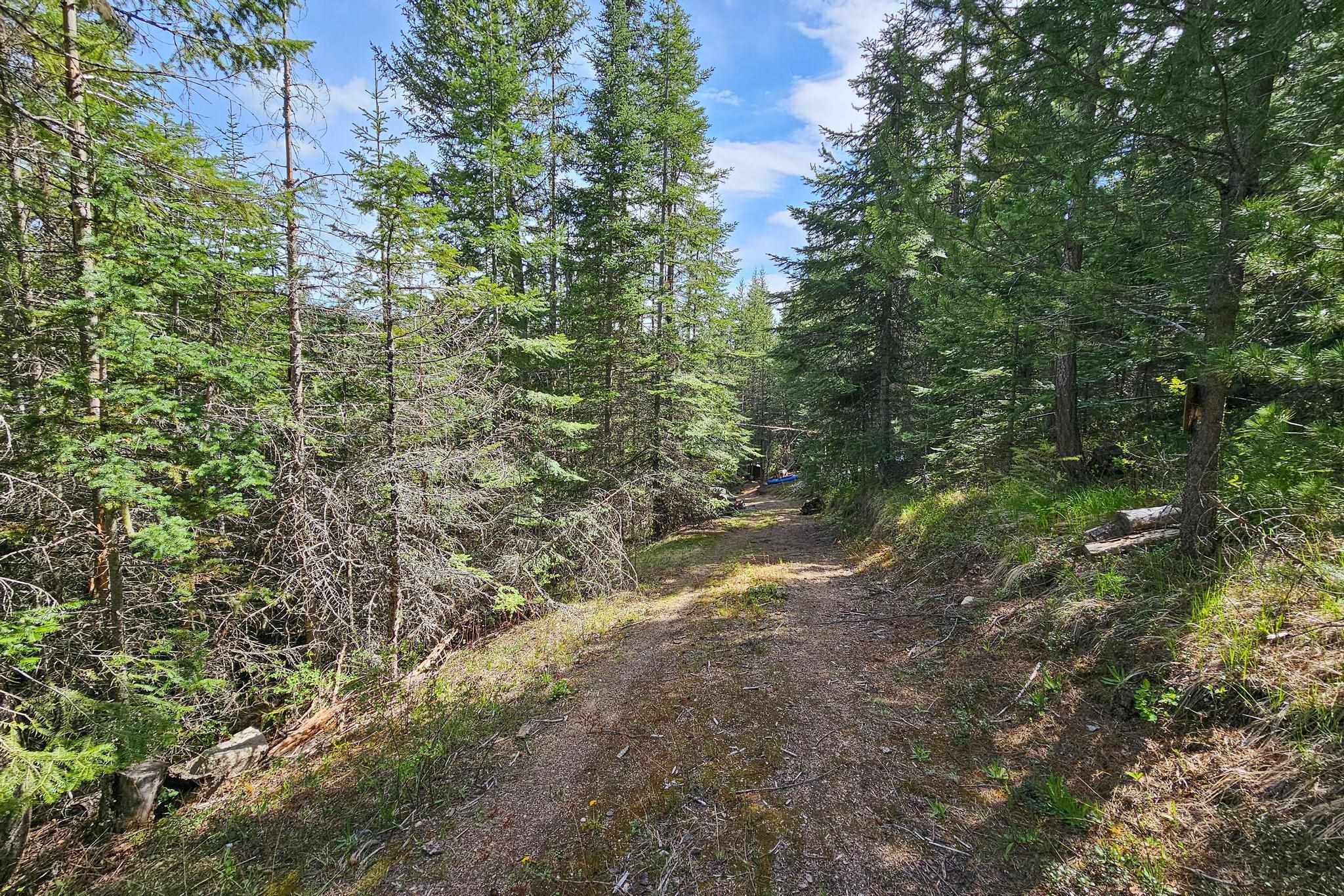 1627 Bohanan Road Colville, WA 99114 - Photo 5 of 18