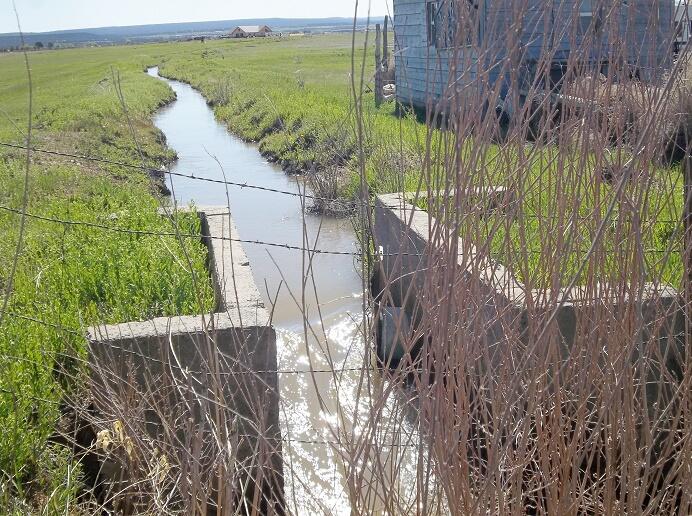Tbd Tbd Co-145 Redvale, CO 81431 - Photo 5 of 7 a view of an outdoor space and a yard