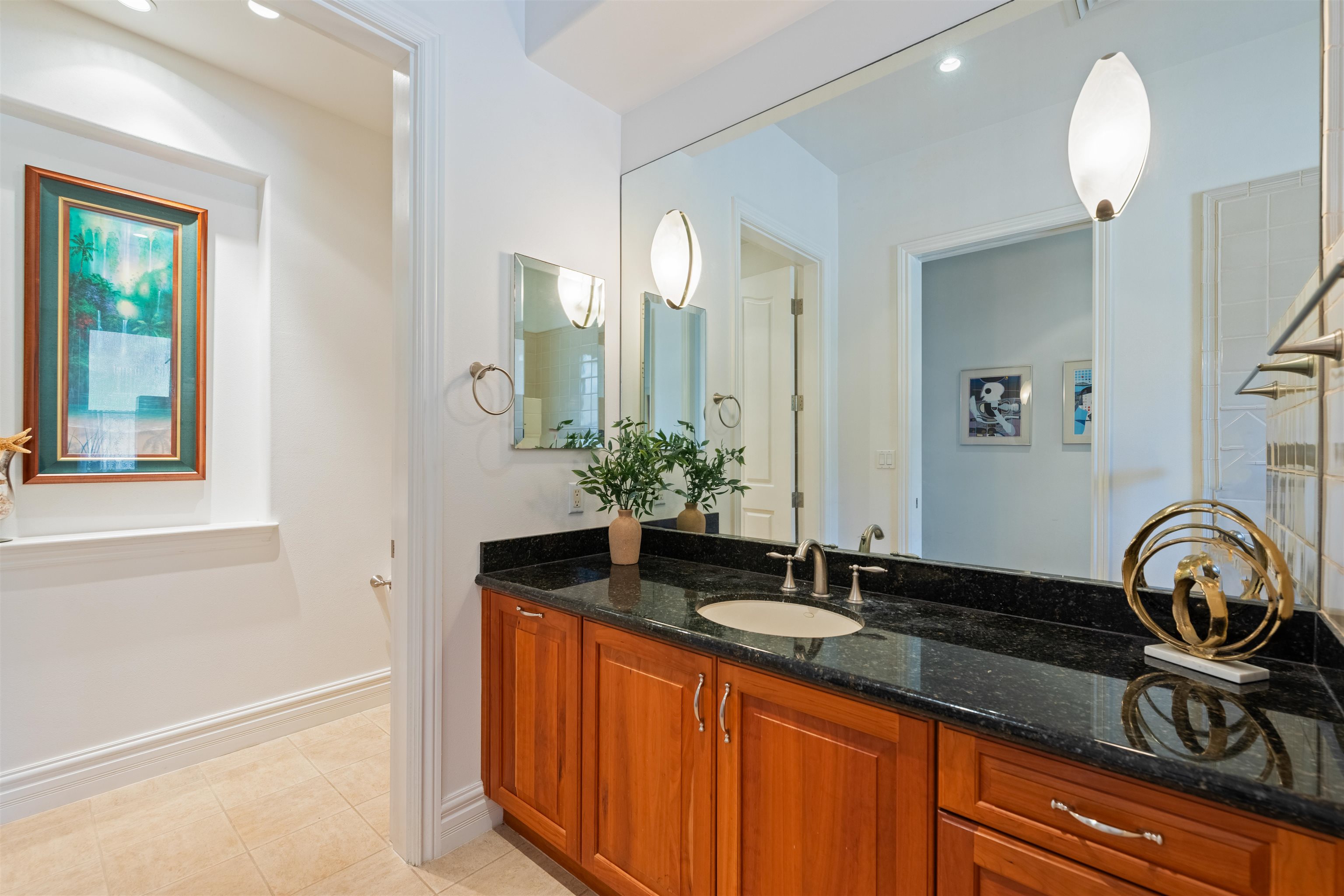 232 Crestview Road Lahaina, HI 96761 - Photo 34 of 45 a close view of a sink and a potted plant on a counter top
