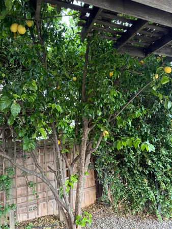 $650,000 | 366 River Park Drive, Redding, CA 96003