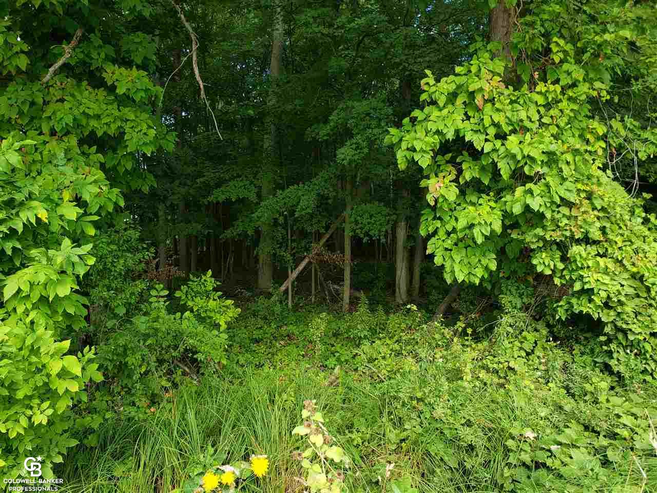 Gleason Rd Ville Emmett, MI 48022 - Photo 8 of 12