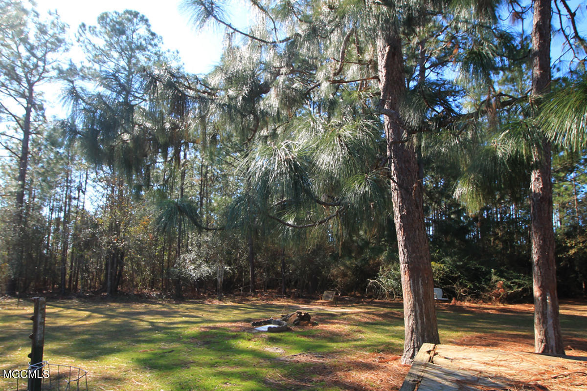 11309 Pinewood Hills Road Vancleave, MS 39565 - Photo 37 of 46 5 (2)