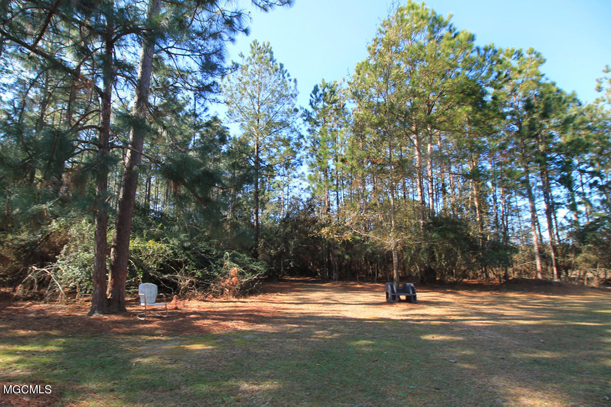 11309 Pinewood Hills Road Vancleave, MS 39565 - Photo 38 of 46 5 (3)